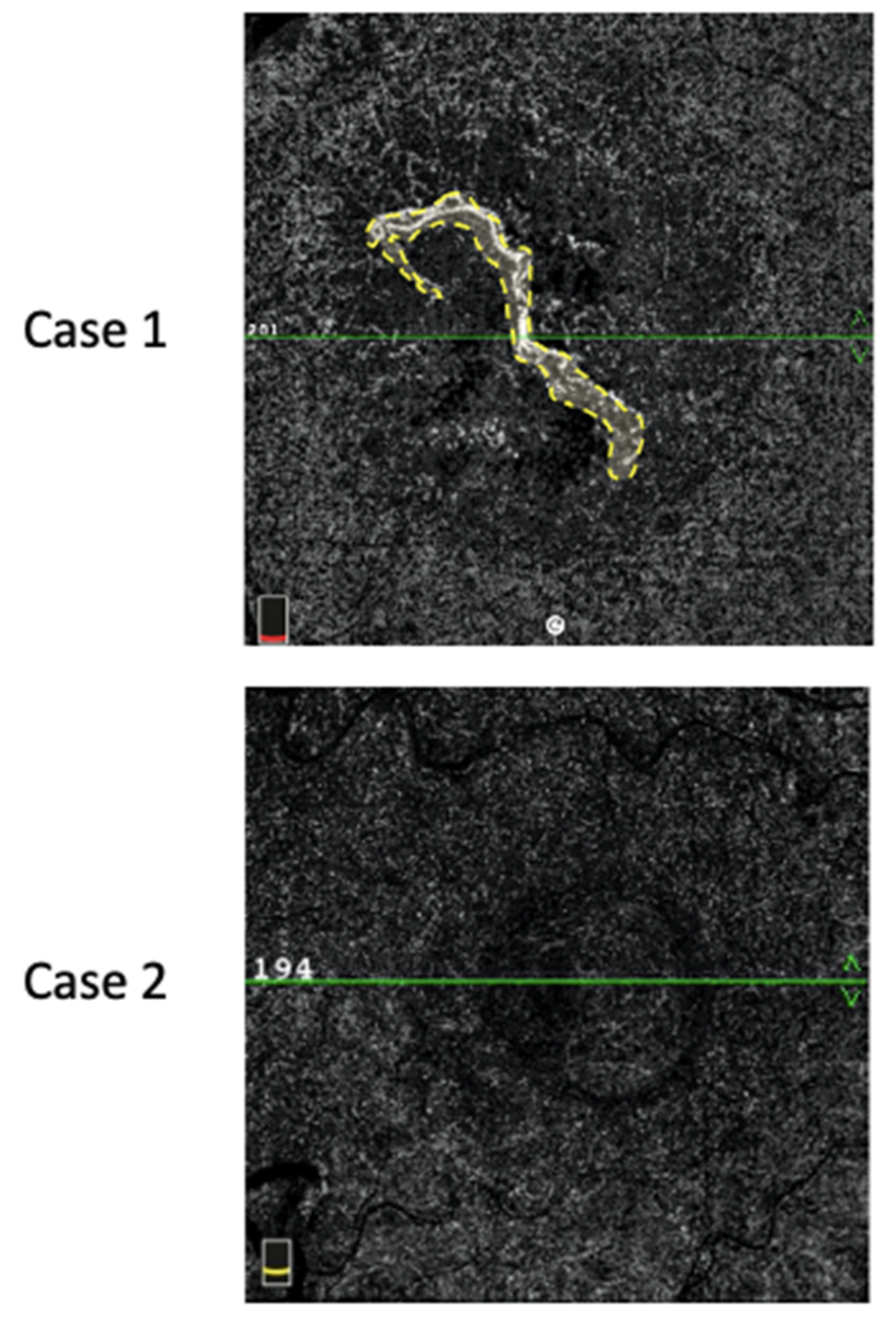 Biomedicines 09 00668 g002 Biomedicines 09 00668 g002