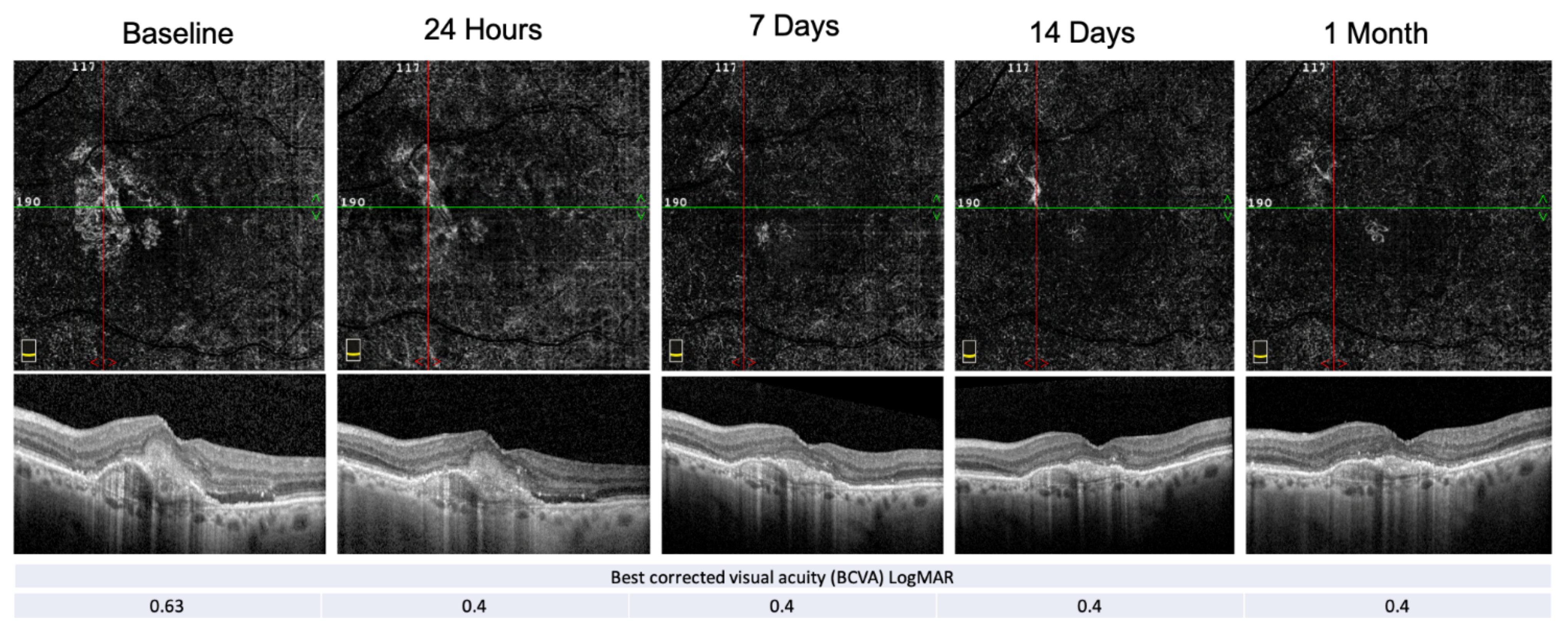 Biomedicines 09 00668 g004 Biomedicines 09 00668 g004
