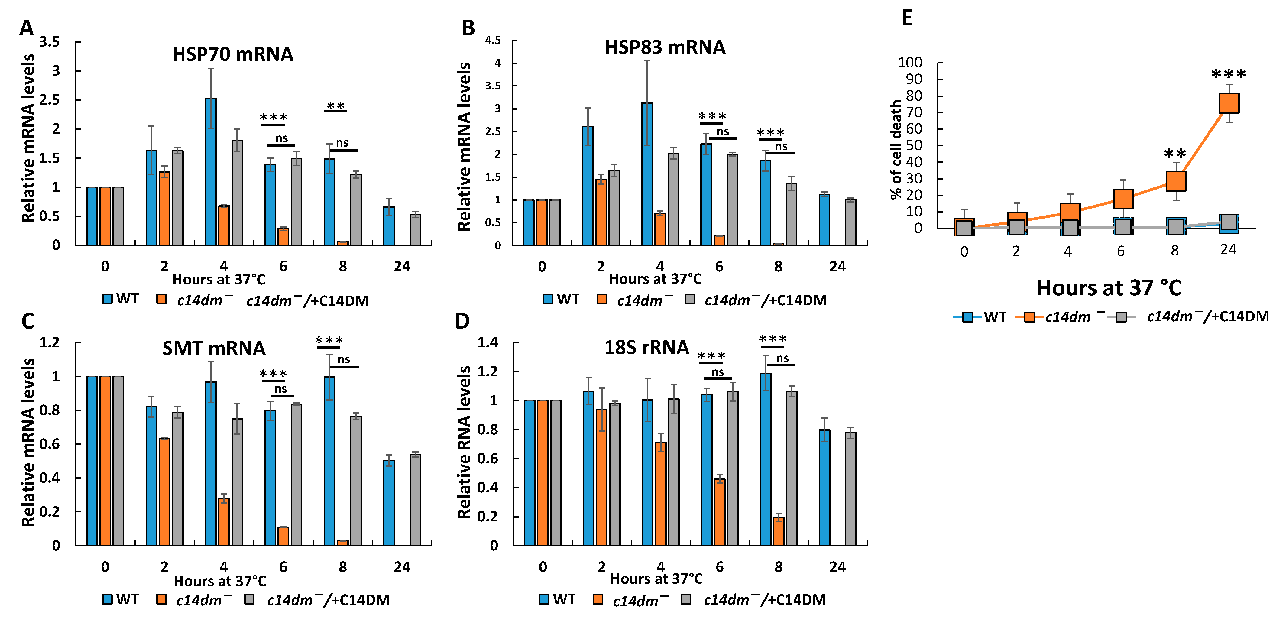 Biomedicines 09 00696 g004