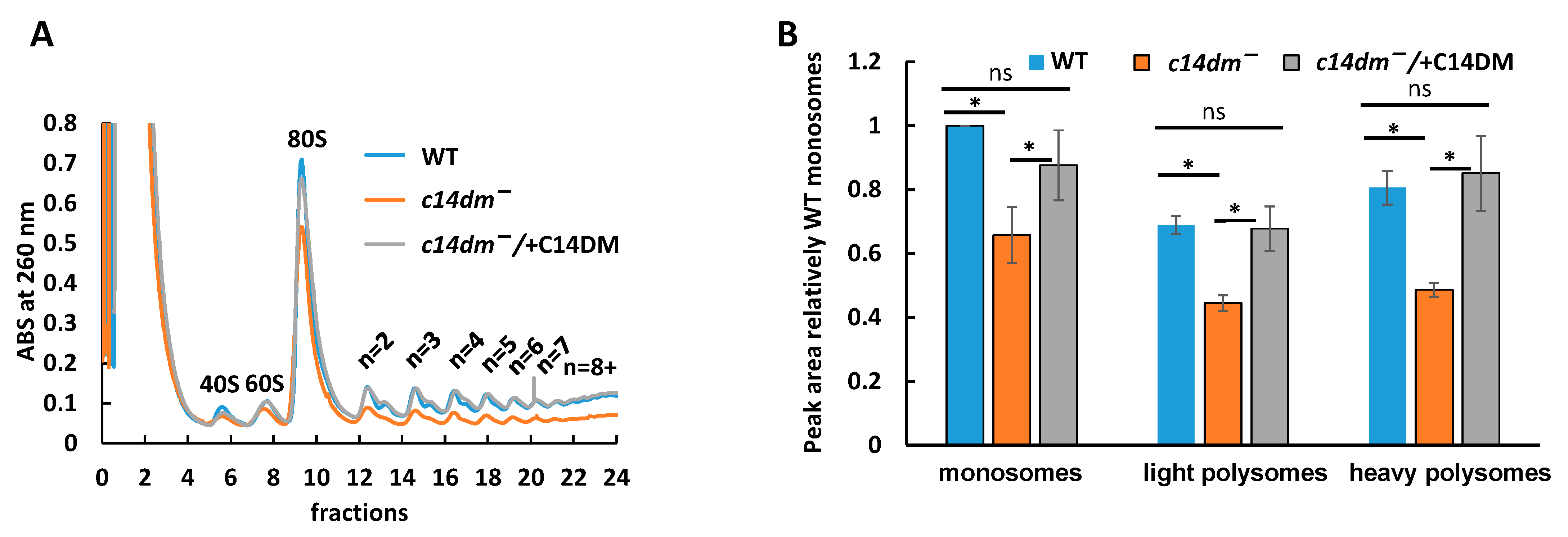 Biomedicines 09 00696 g007