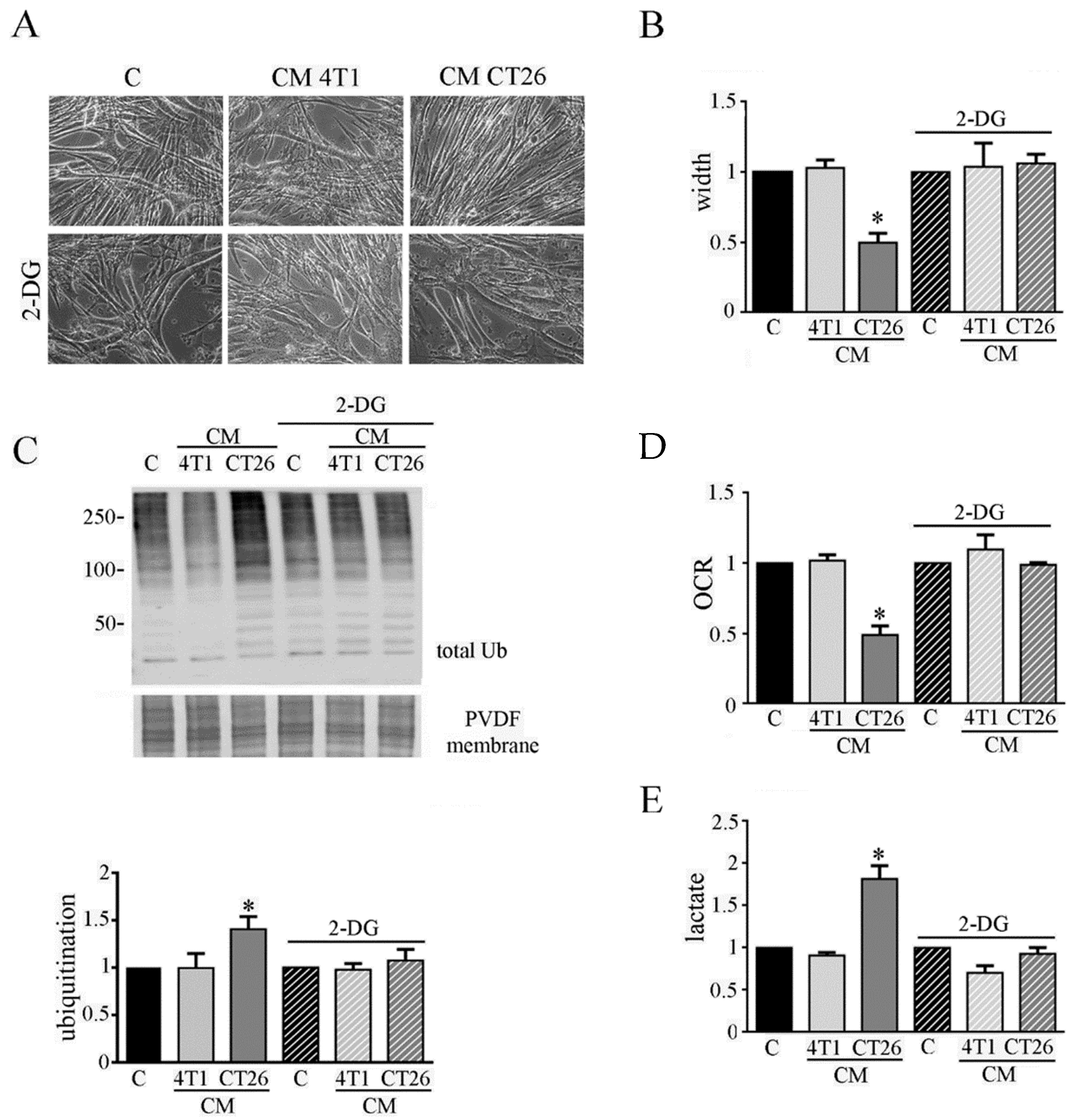 Biomedicines 09 00698 g002 Biomedicines 09 00698 g002