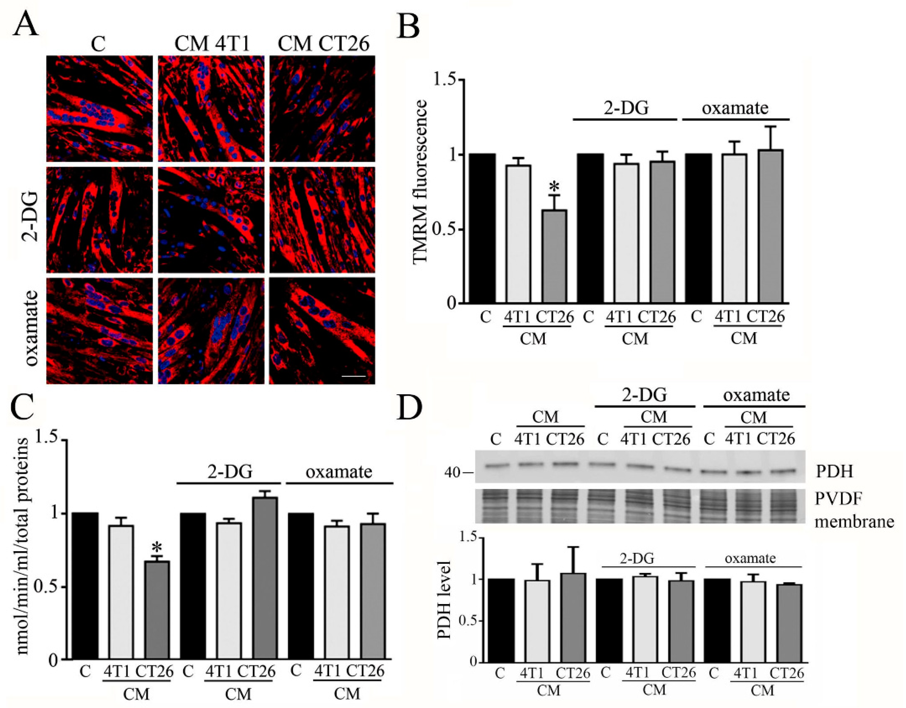 Biomedicines 09 00698 g004 Biomedicines 09 00698 g004