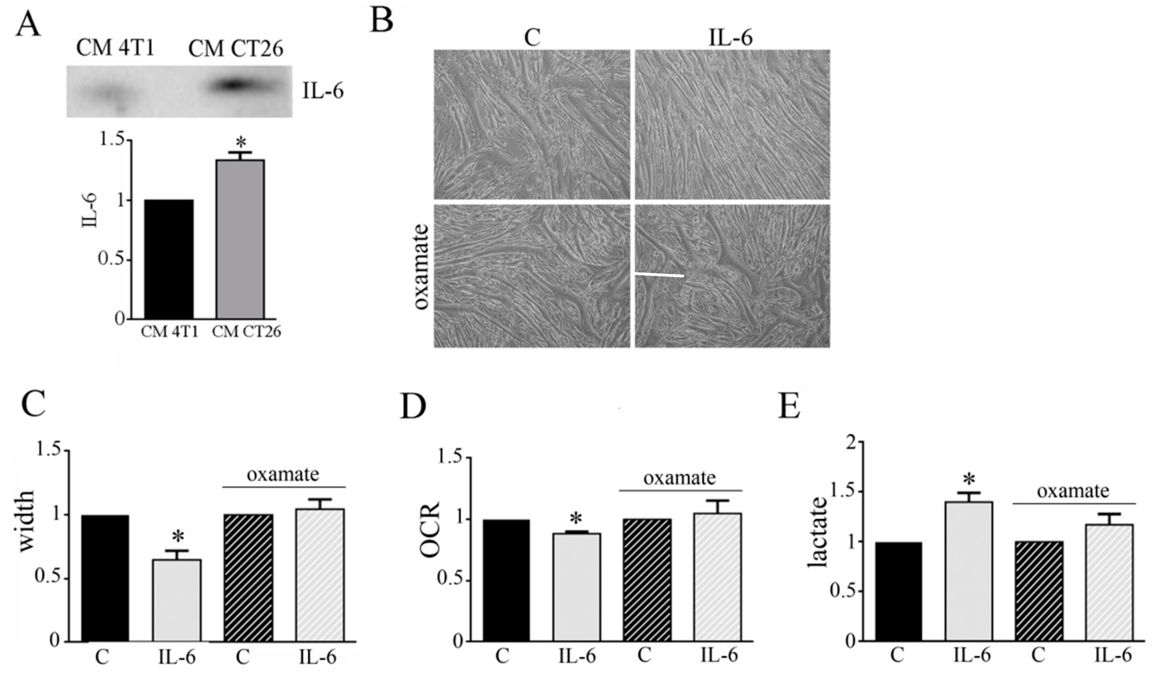 Biomedicines 09 00698 g005 Biomedicines 09 00698 g005