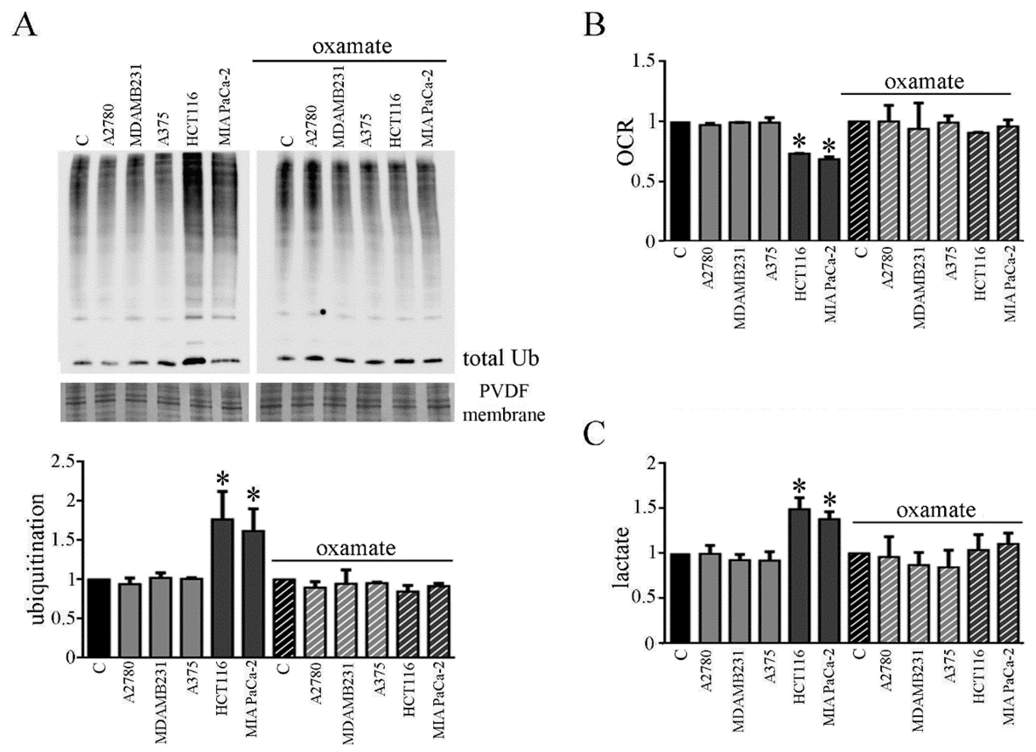 Biomedicines 09 00698 g007 Biomedicines 09 00698 g007