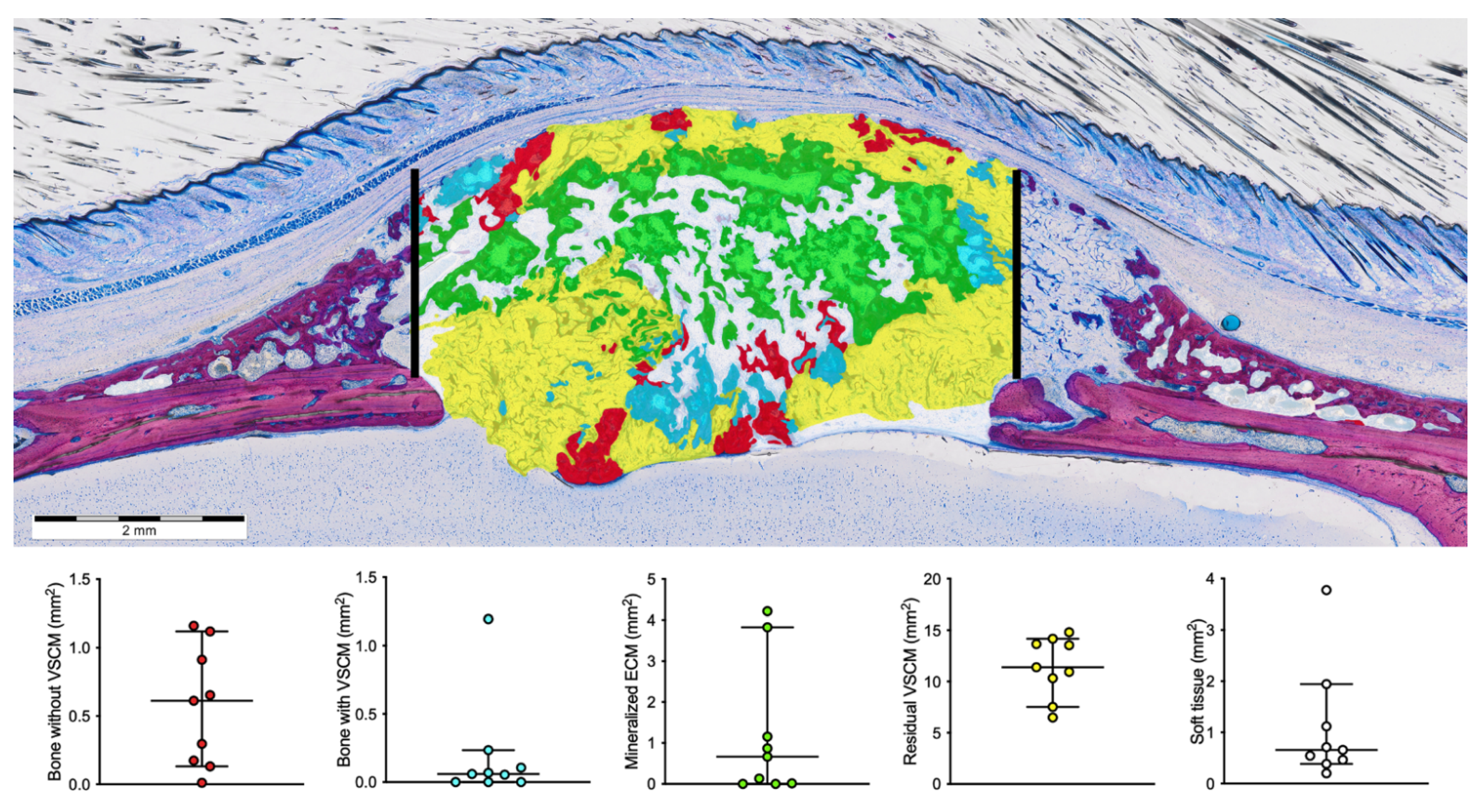 Biomedicines 09 00732 g006