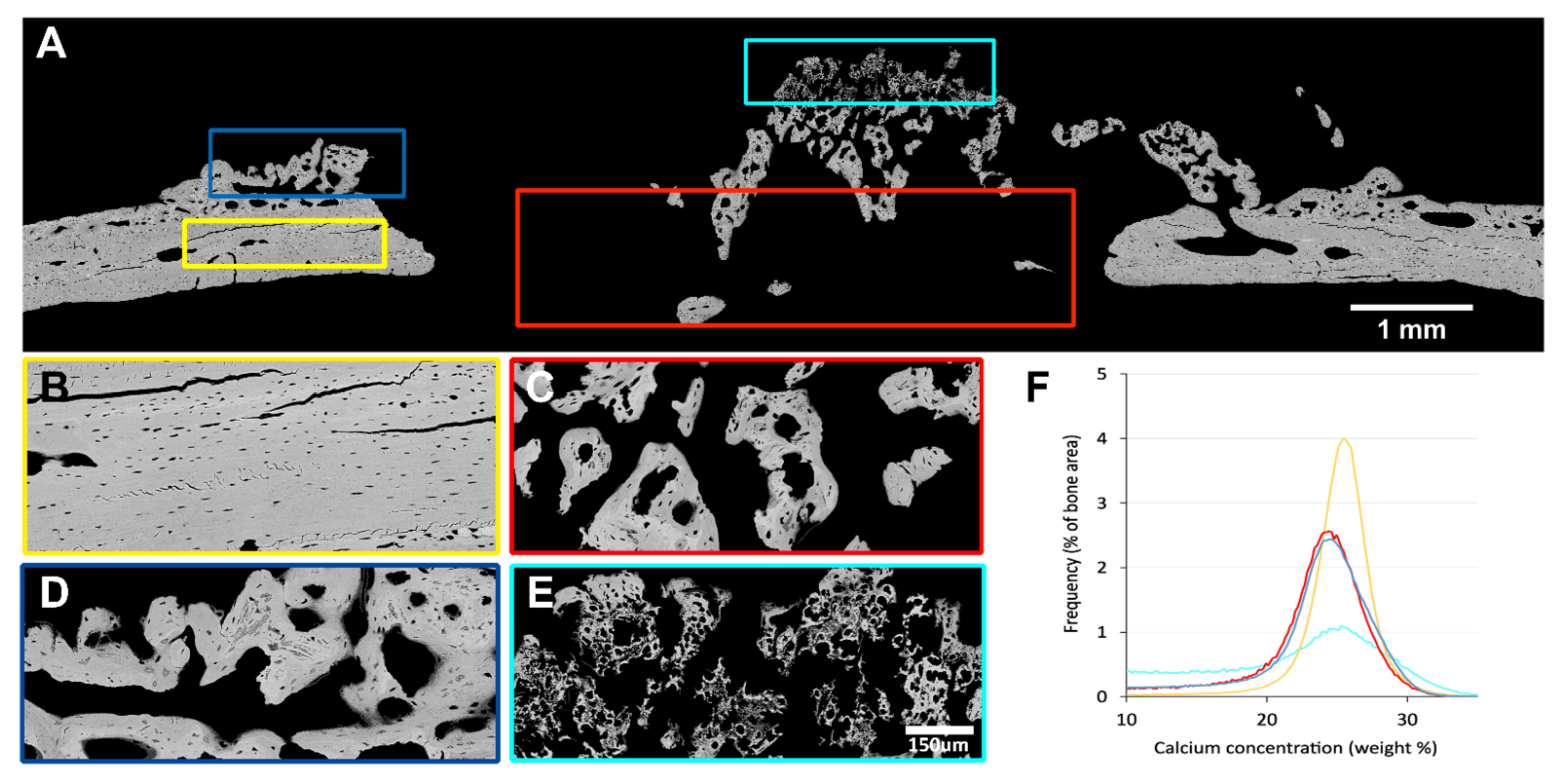 Biomedicines 09 00732 g007