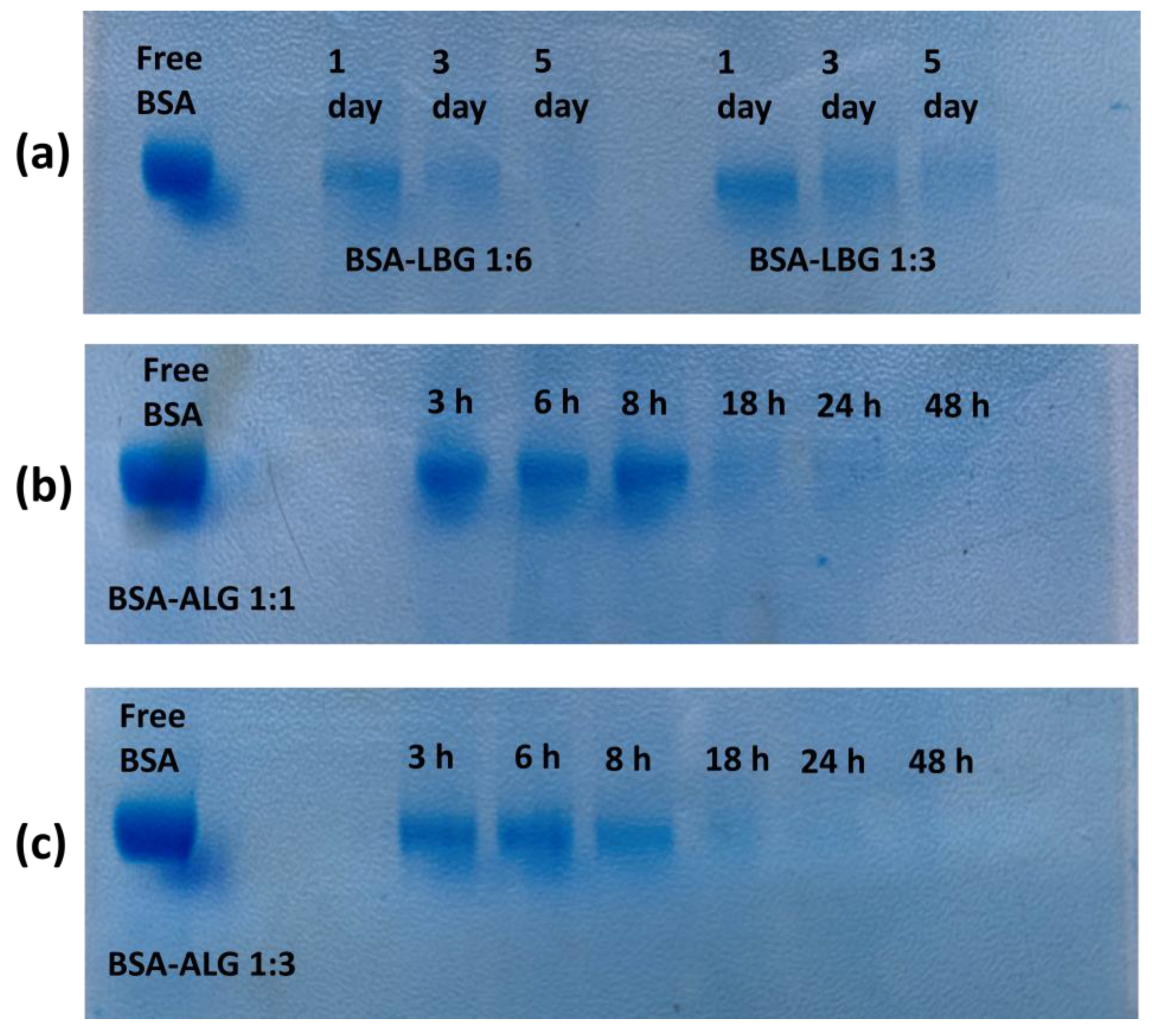 Biomedicines 09 00737 g007