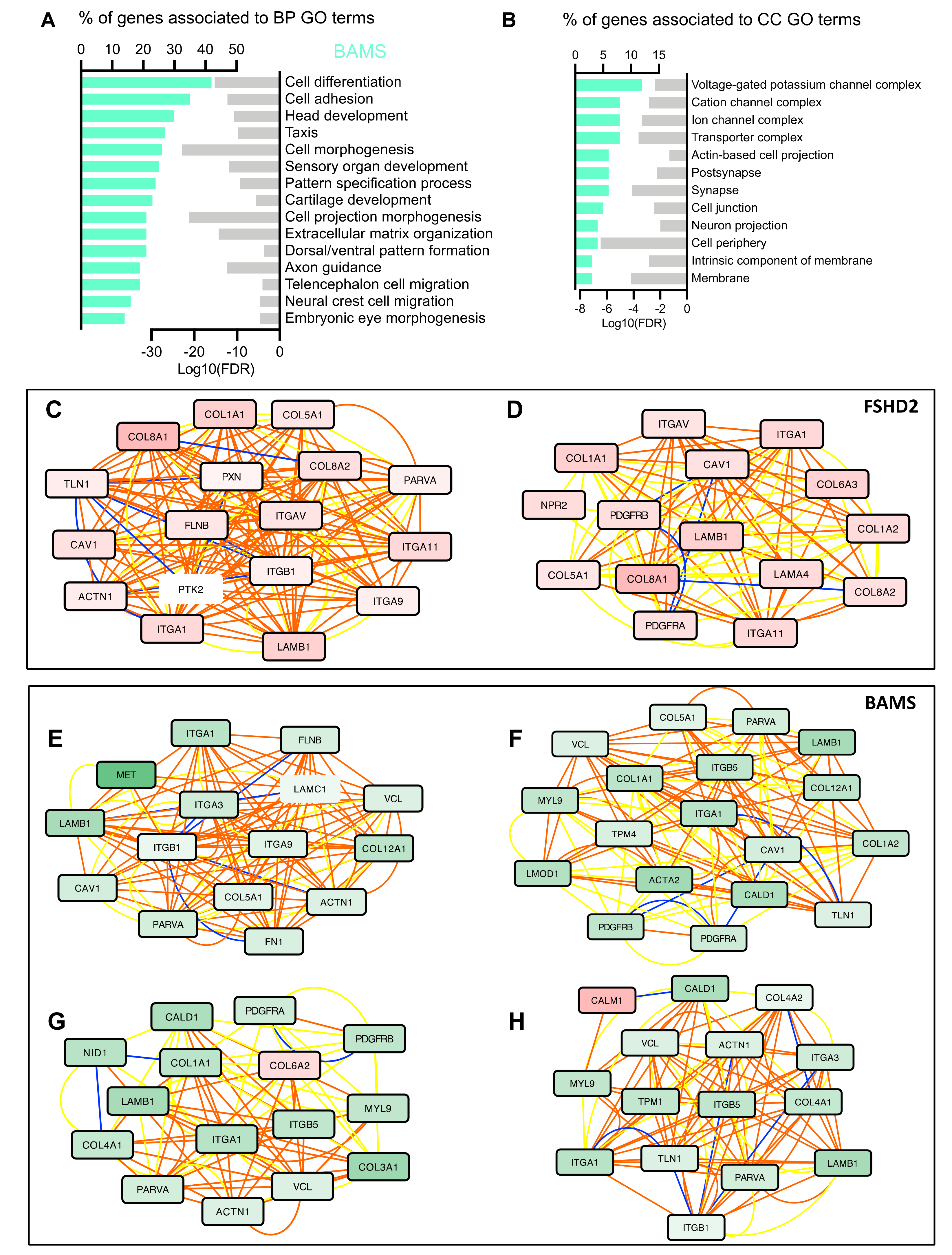 Biomedicines 09 00751 g003 Biomedicines 09 00751 g003