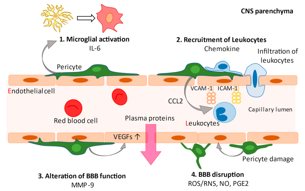 Biomedicines 09 00759 g002