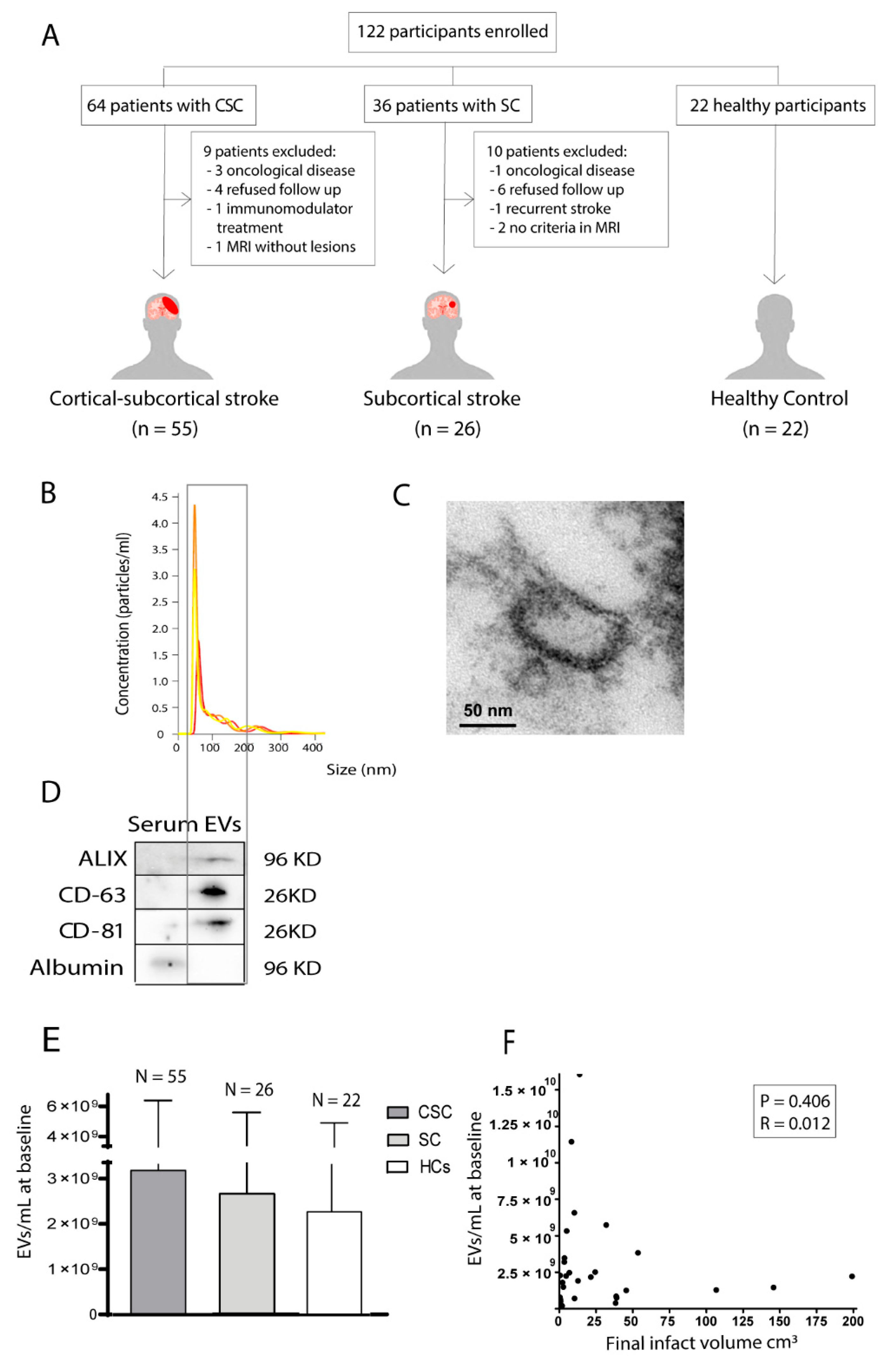 Biomedicines 09 00786 g001