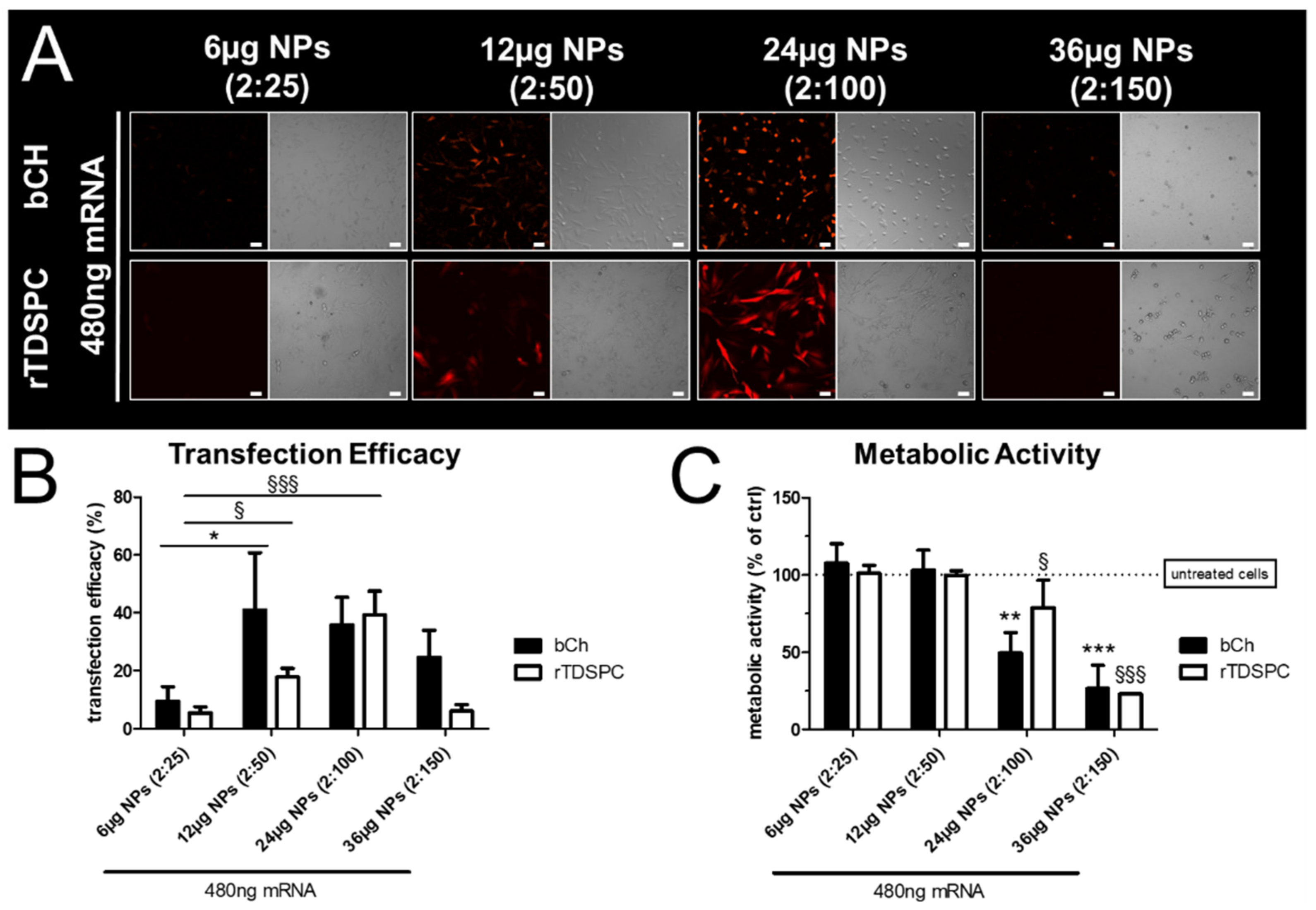 Biomedicines 09 00794 g004