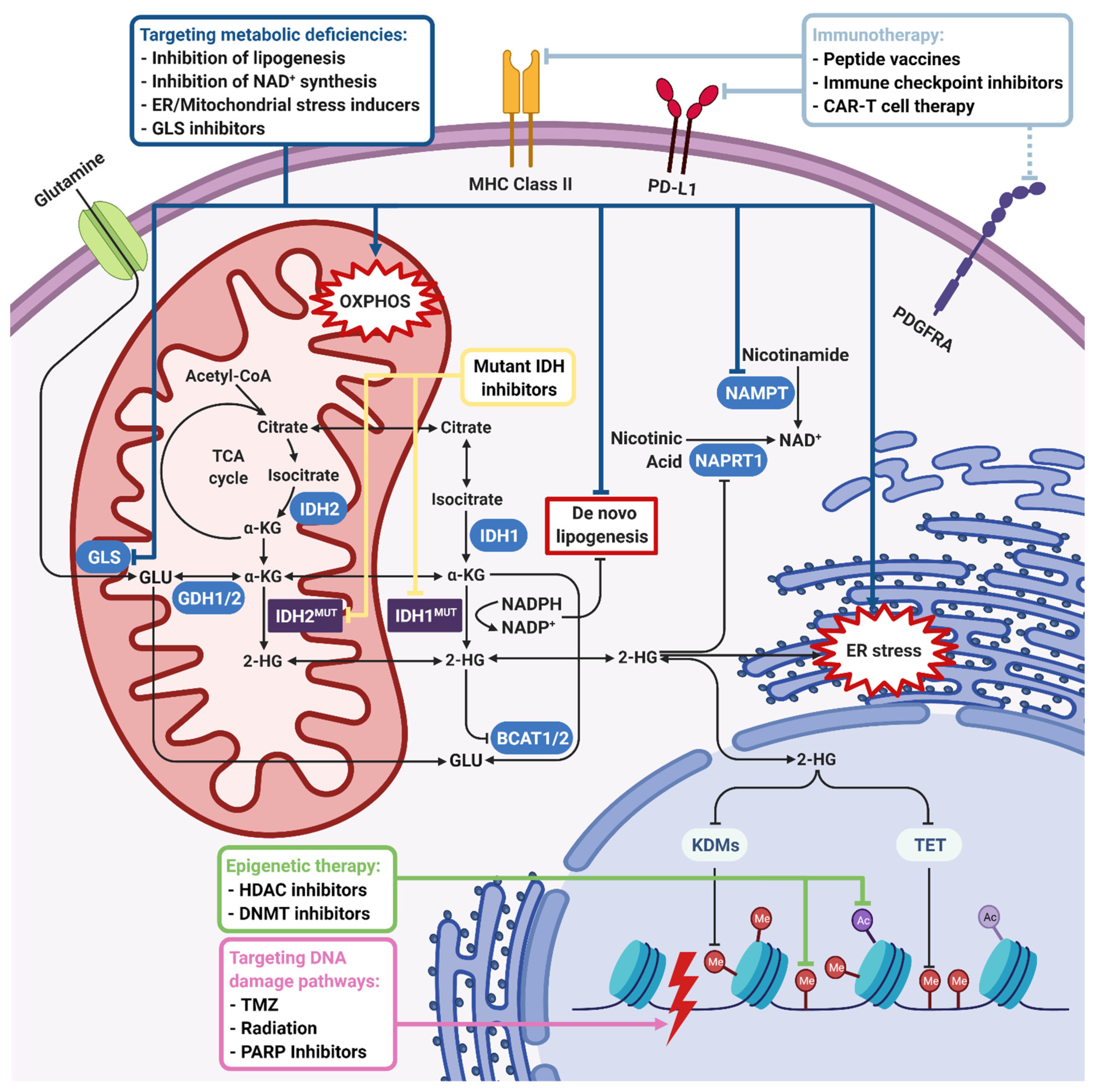 Biomedicines 09 00799 g003 Biomedicines 09 00799 g003