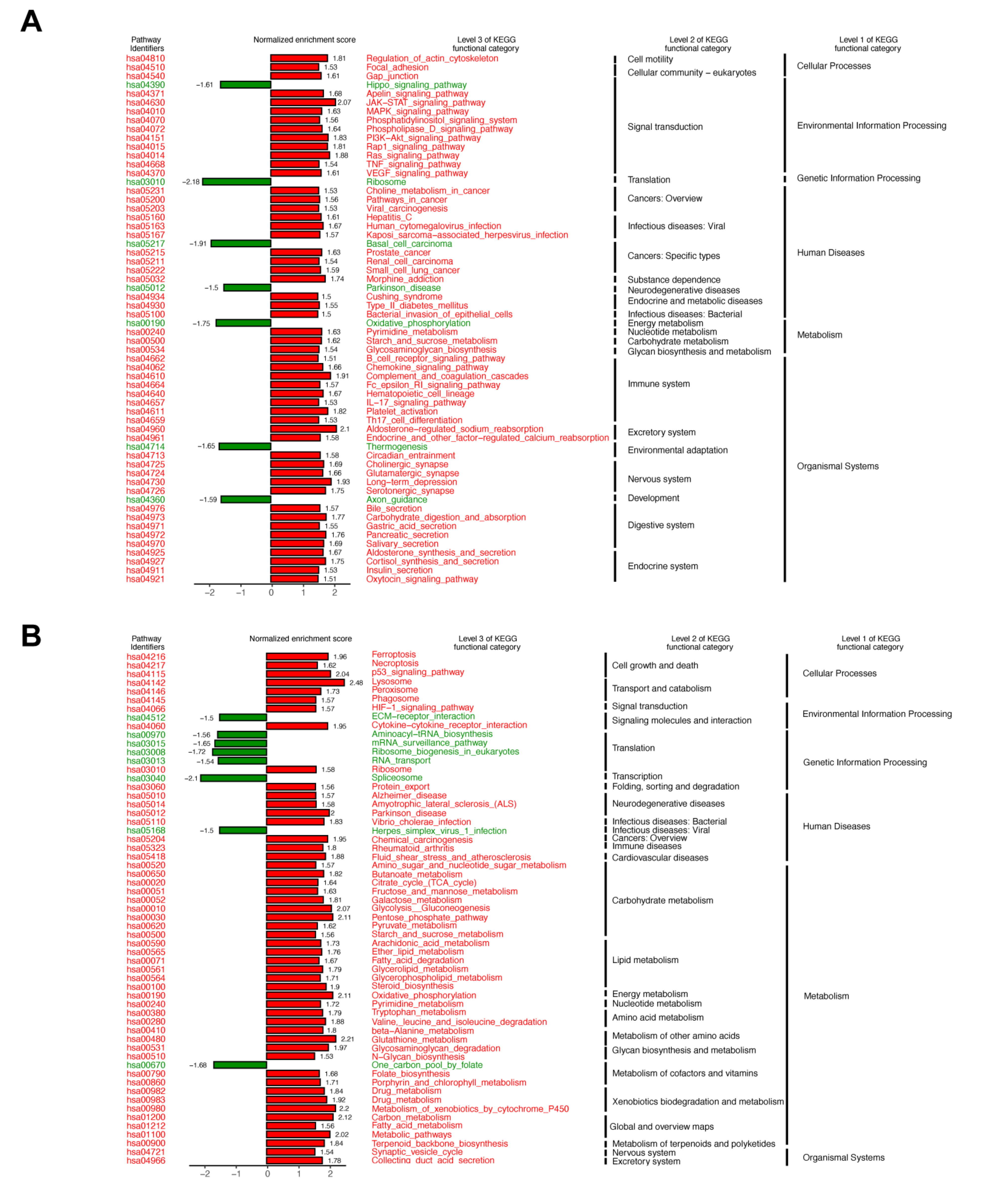 Biomedicines 09 00829 g005