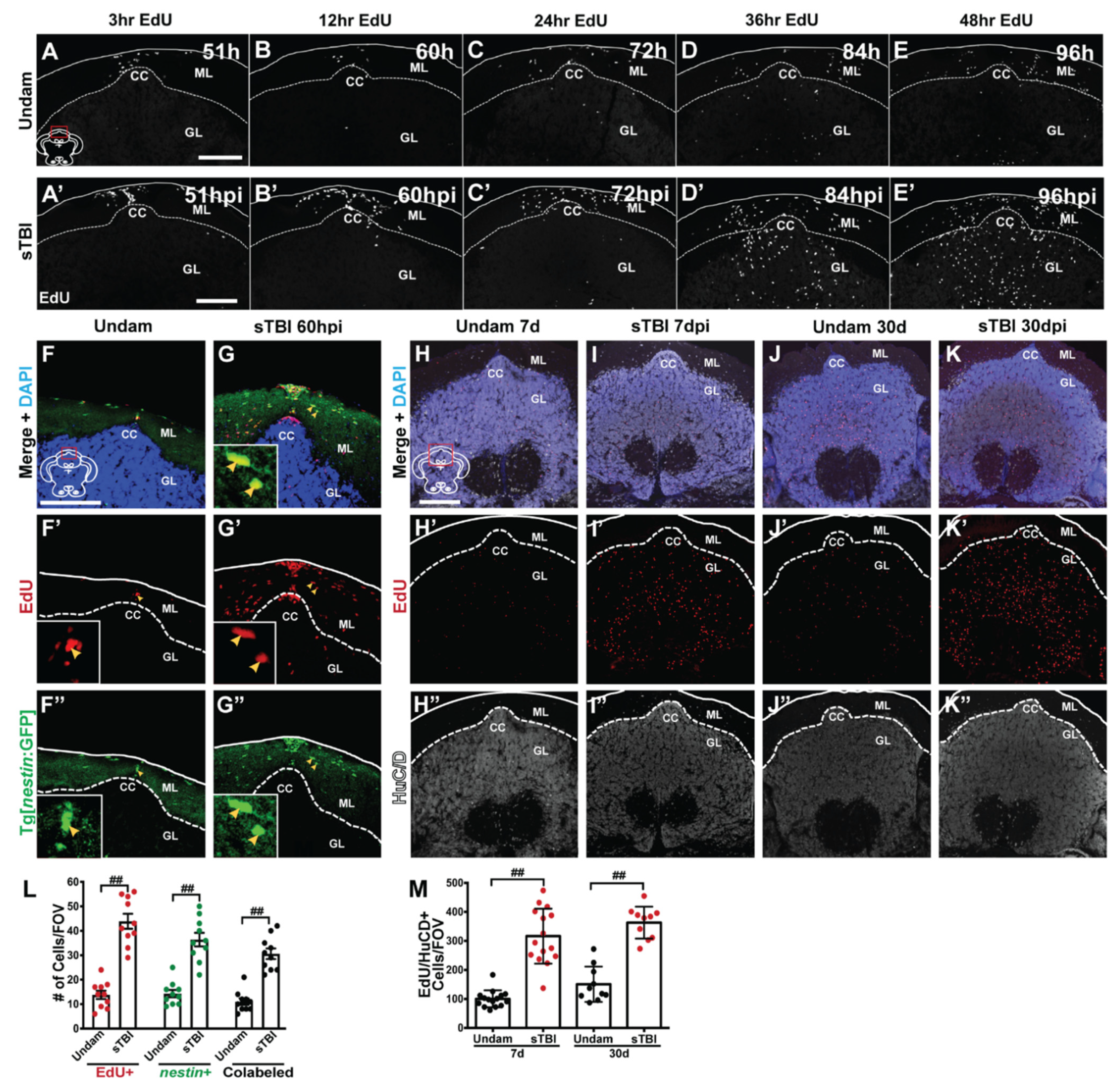 Biomedicines 09 00861 g010