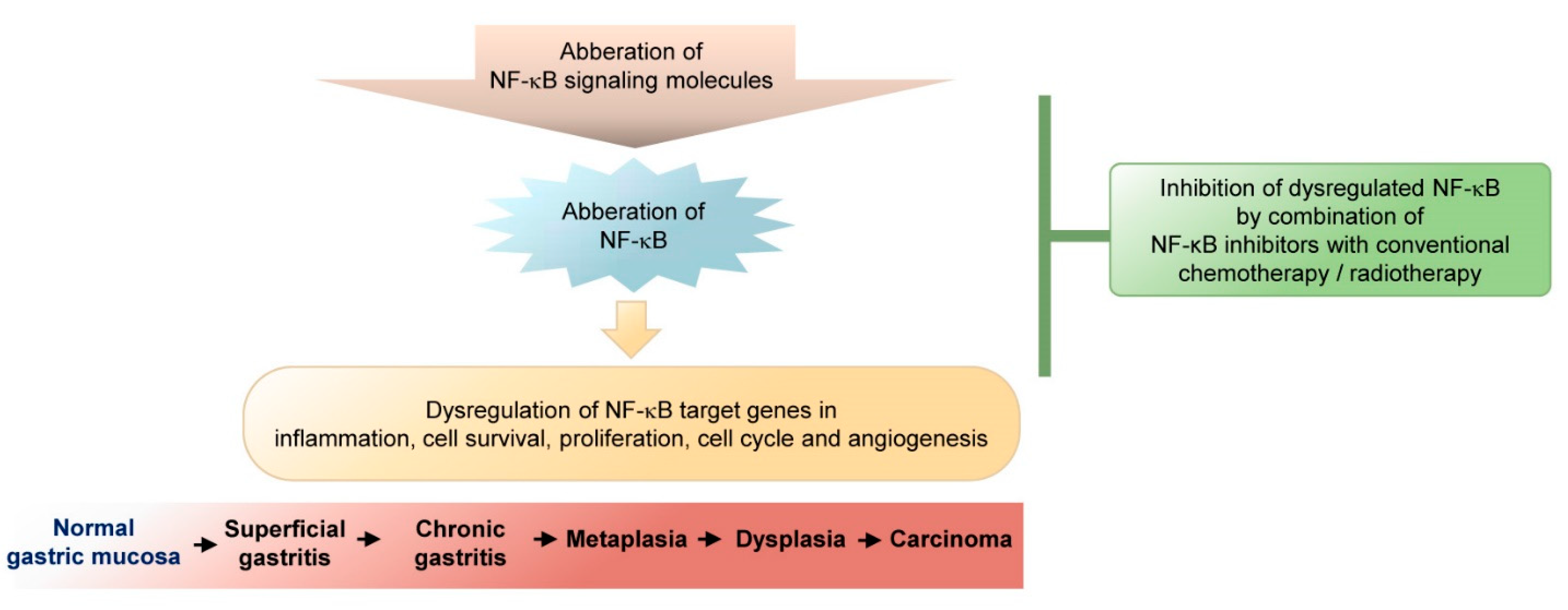 Biomedicines | Free Full-Text | NF-κB in Gastric Cancer Development and  Therapy
