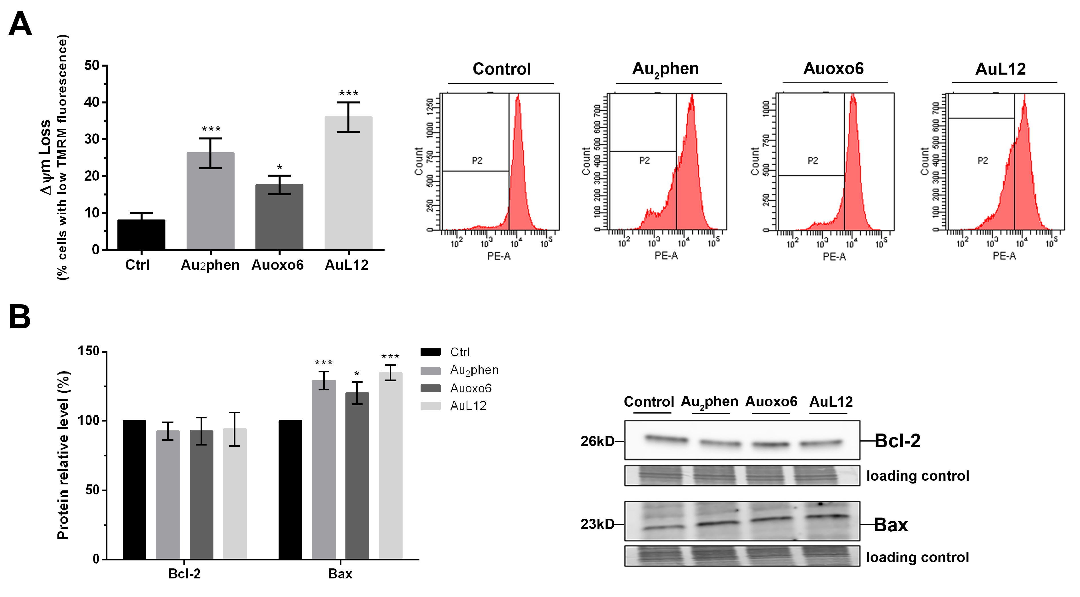 Biomedicines 09 00871 g004