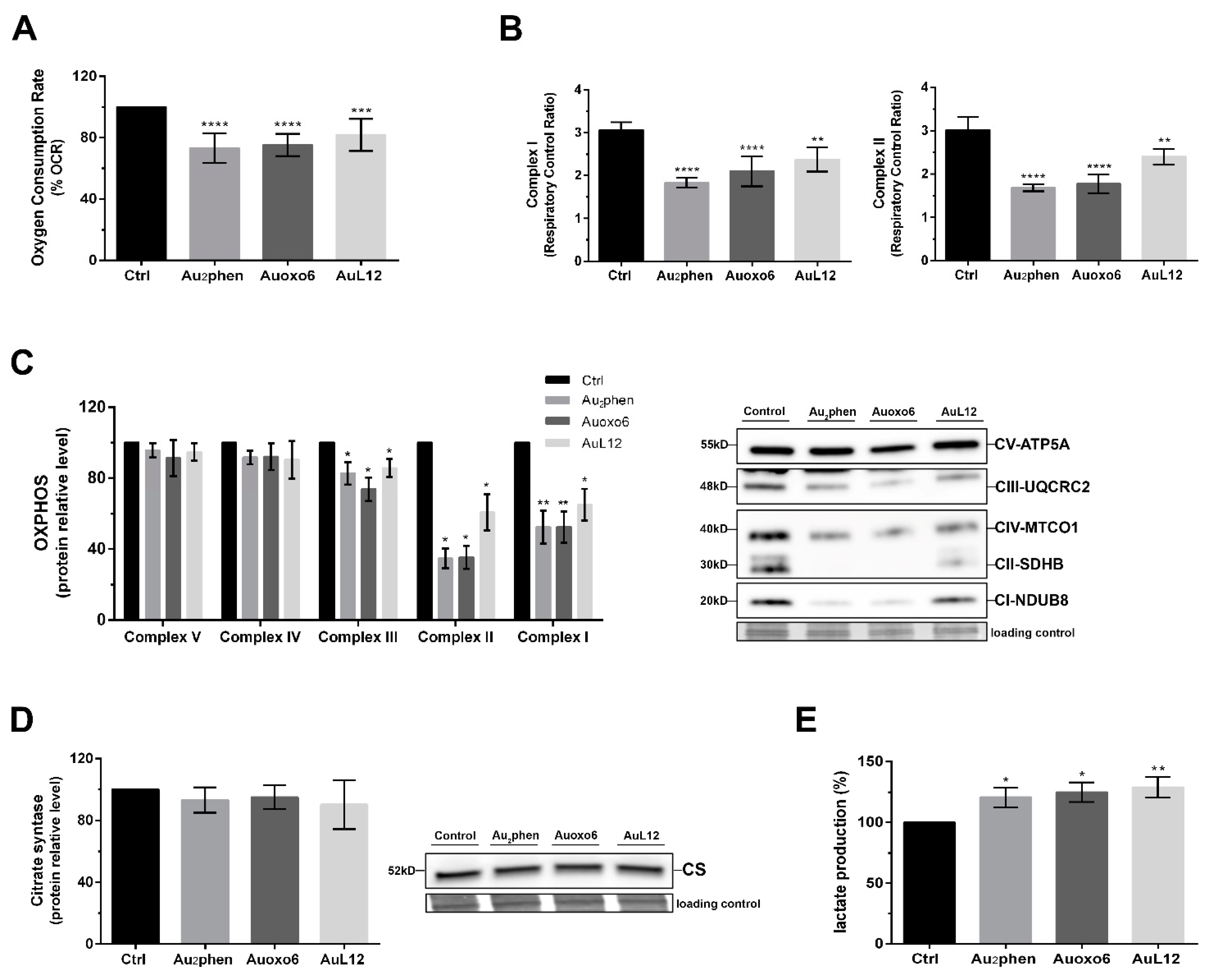 Biomedicines 09 00871 g005