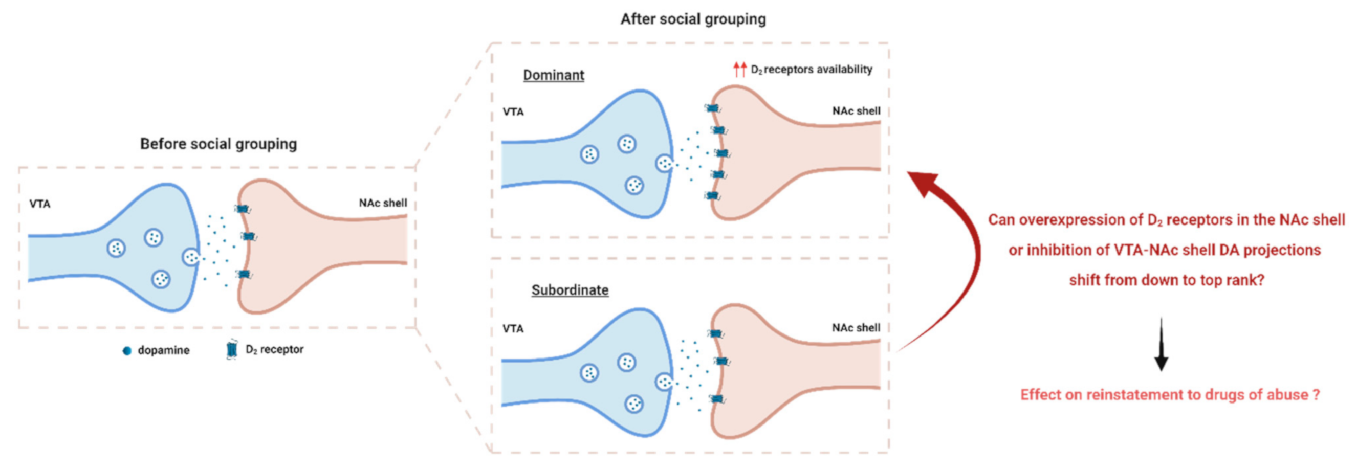 Biomedicines 09 00877 g002 Biomedicines 09 00877 g002