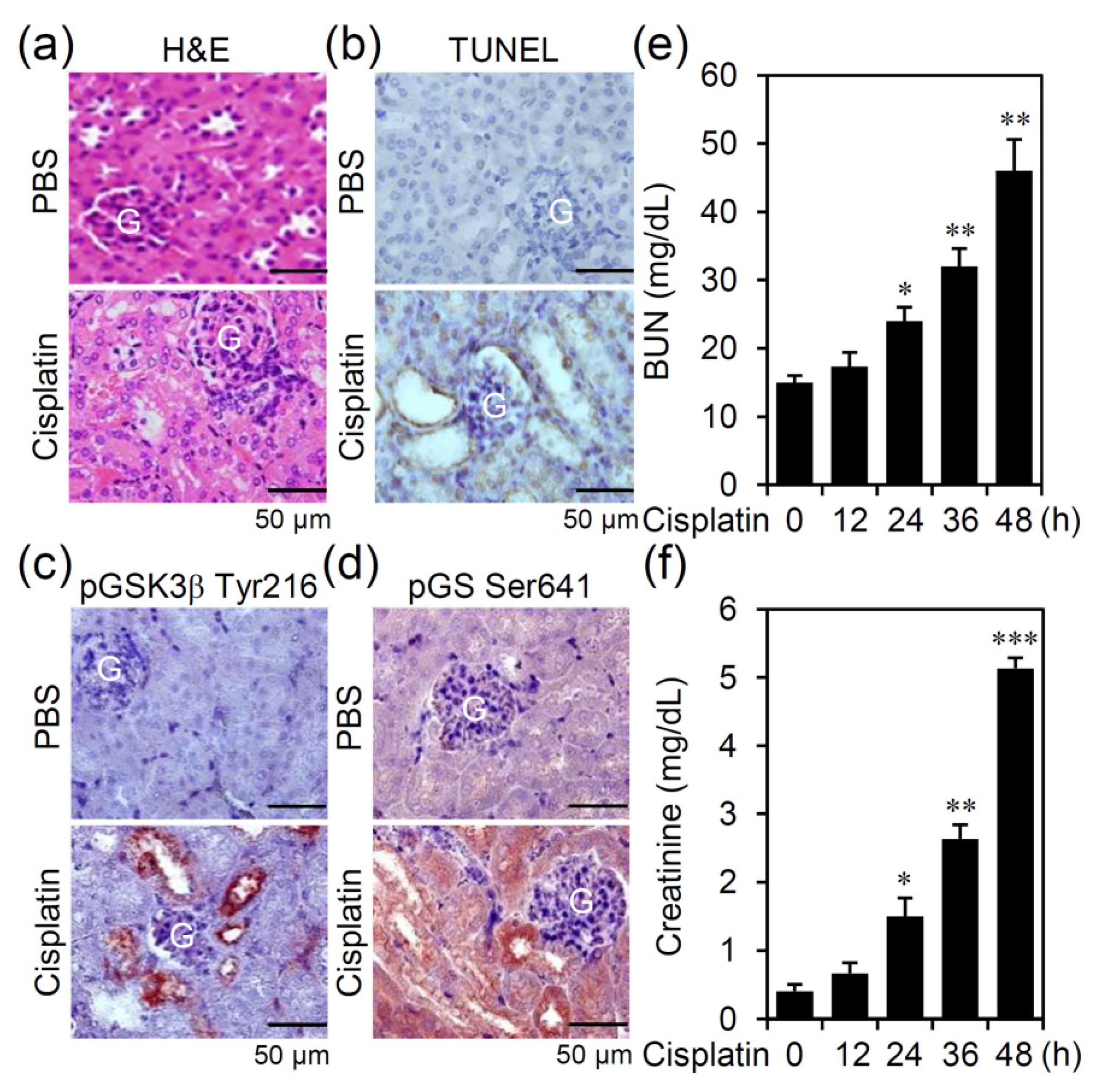 Biomedicines 09 00887 g001