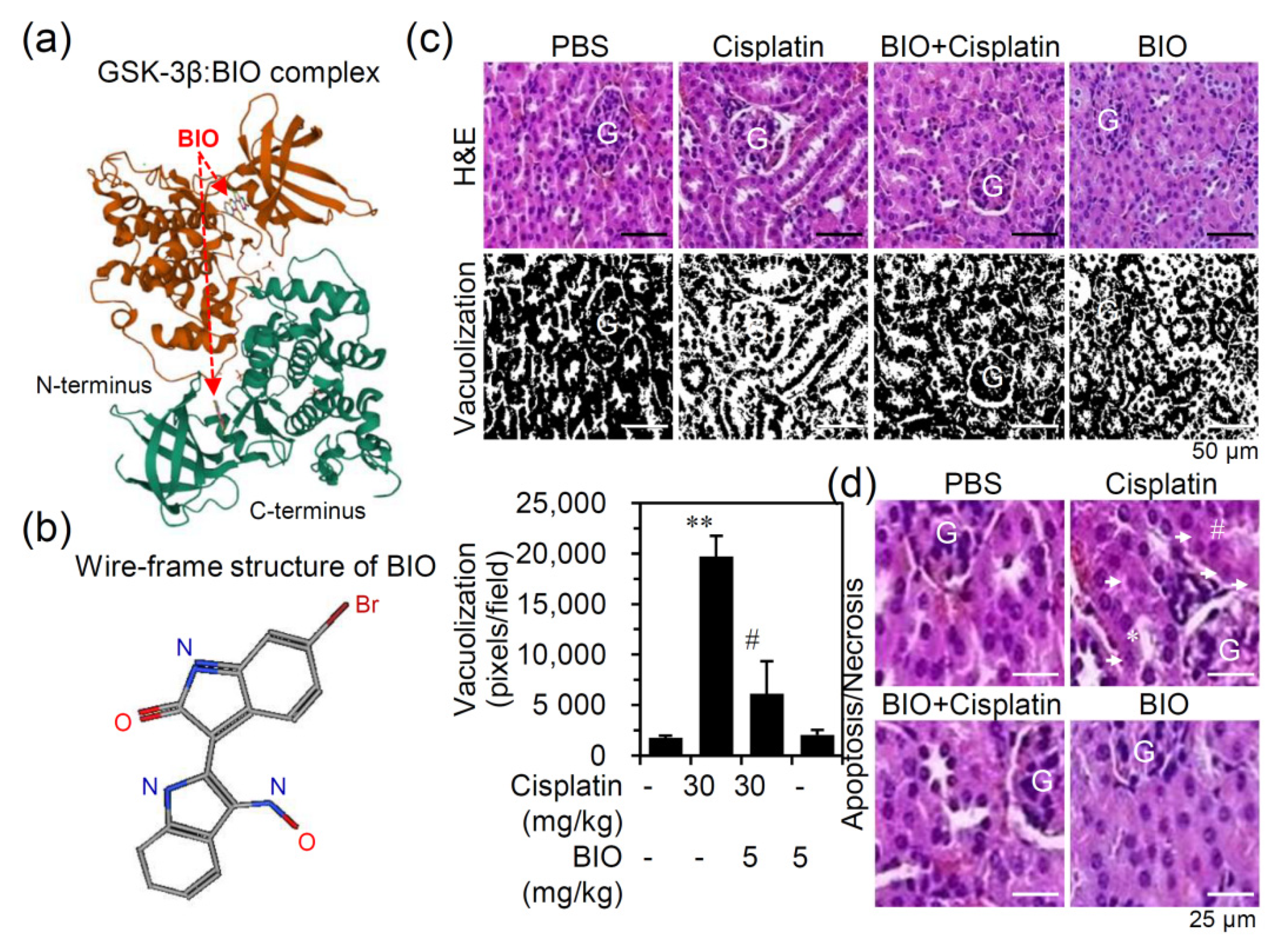Biomedicines 09 00887 g002