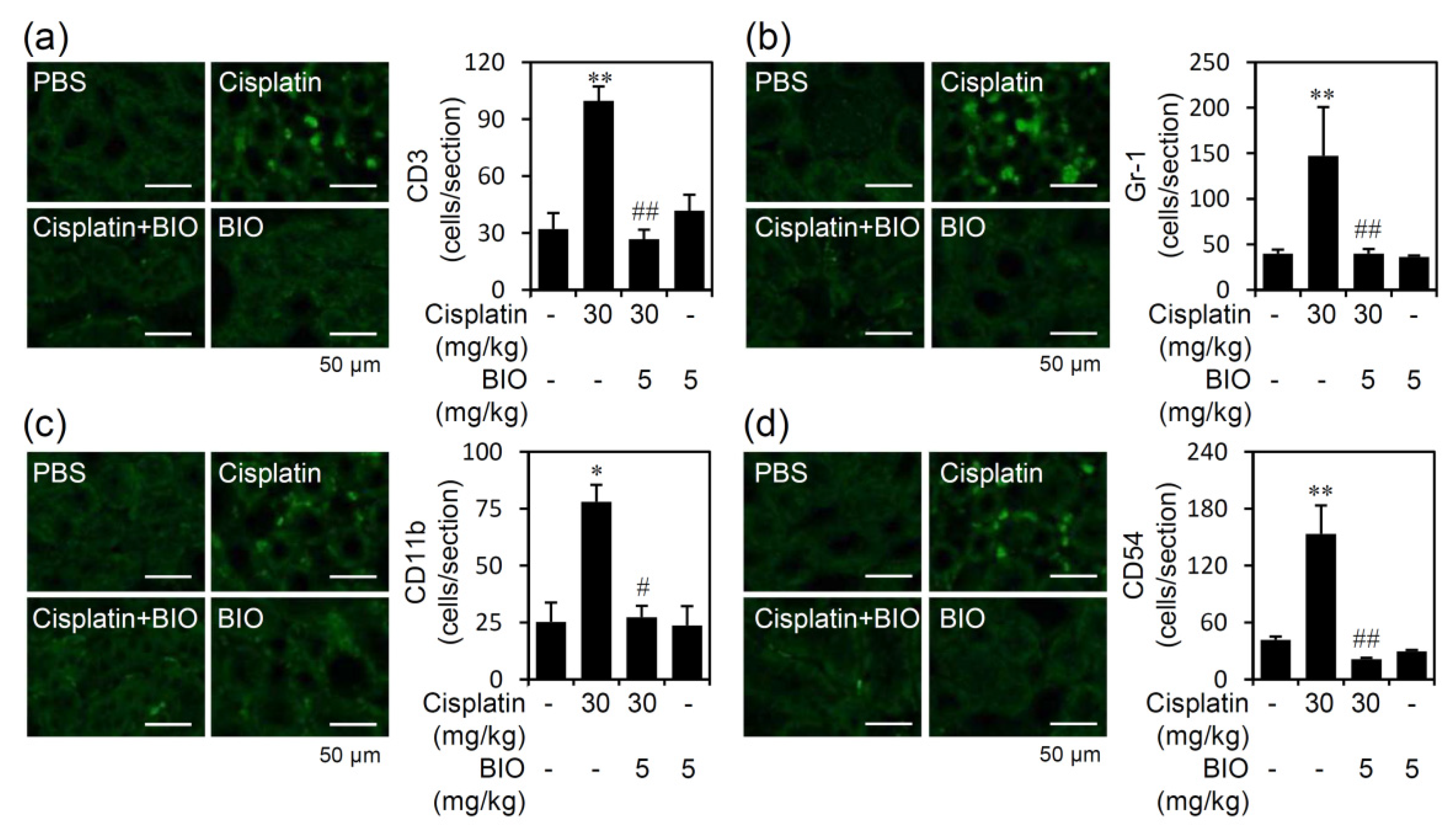 Biomedicines 09 00887 g004