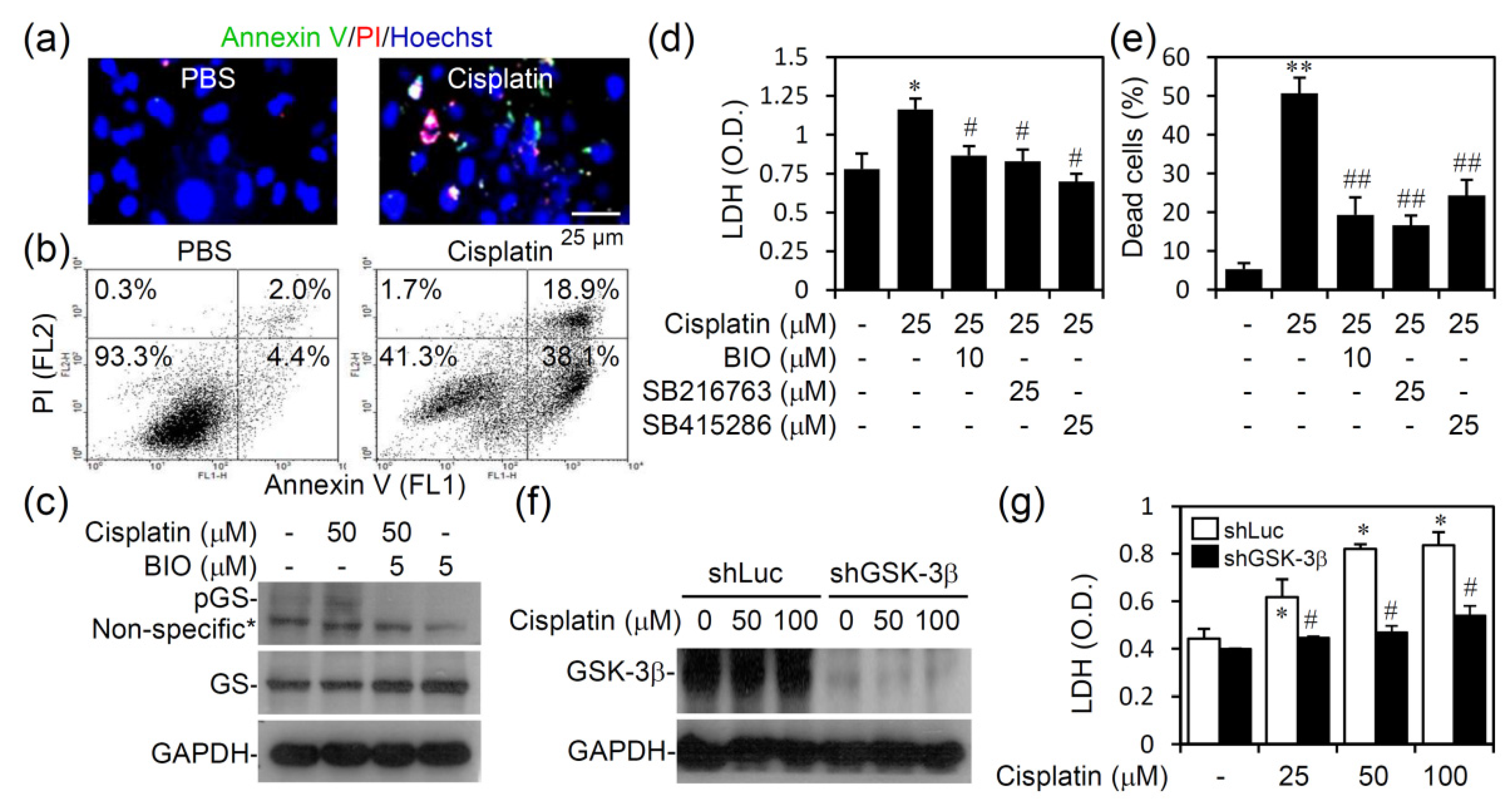Biomedicines 09 00887 g006