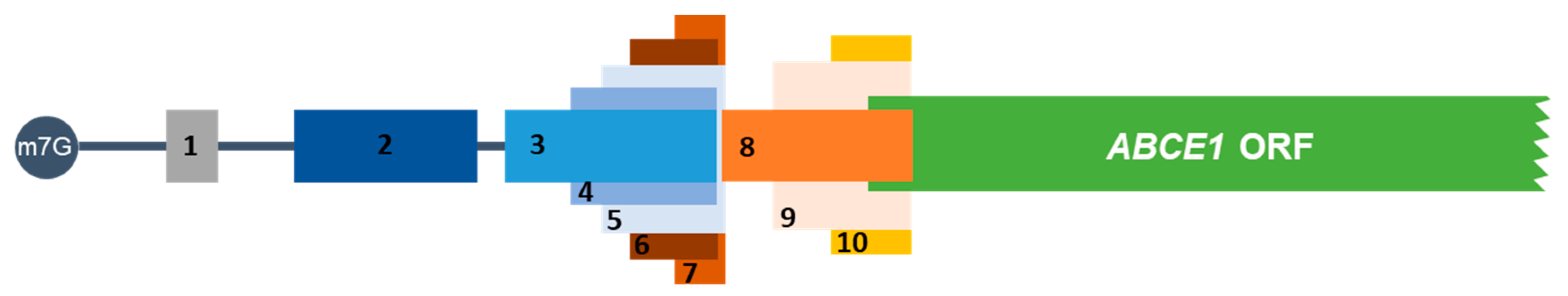 Biomedicines 09 00911 g001