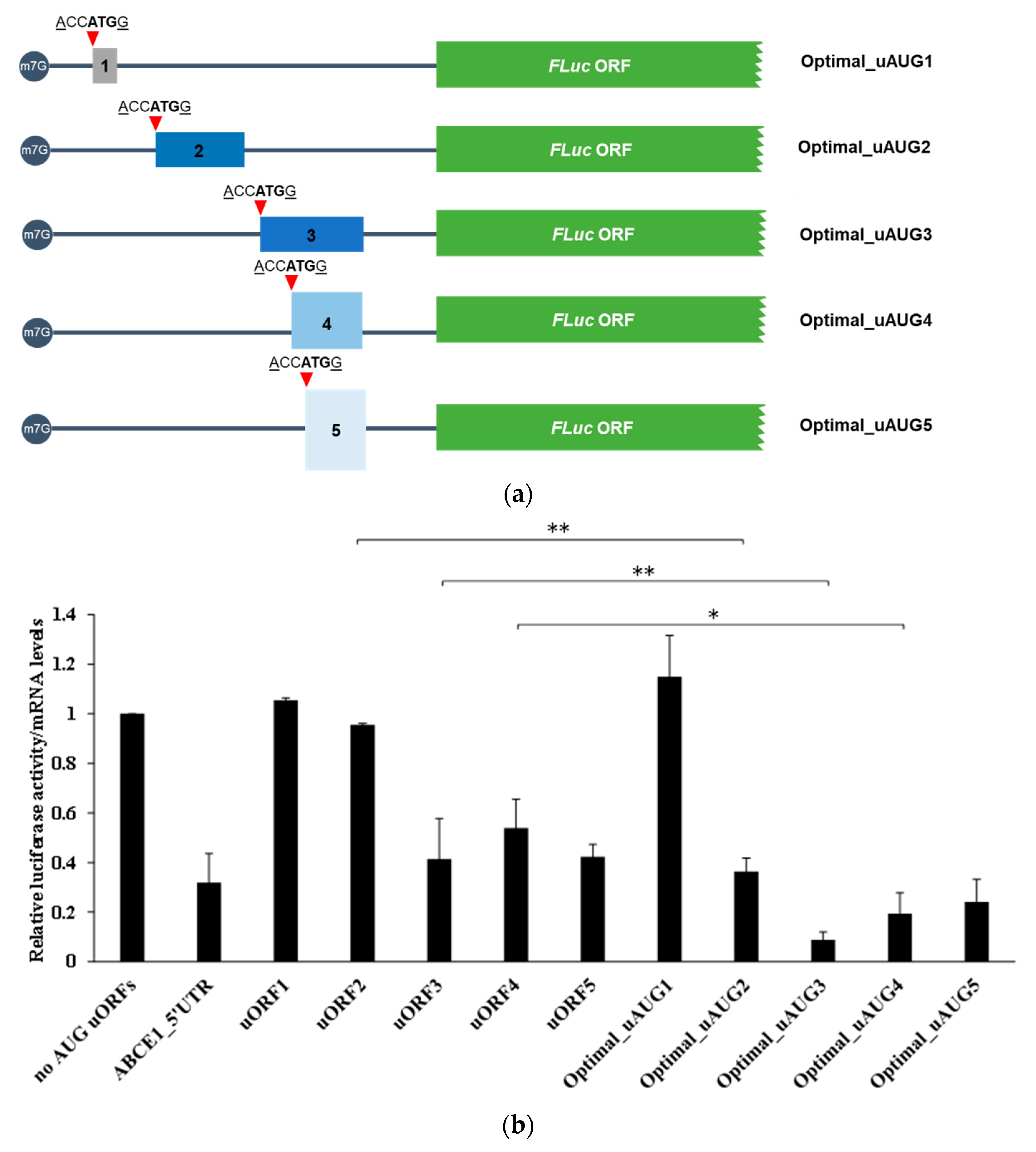 Biomedicines 09 00911 g007