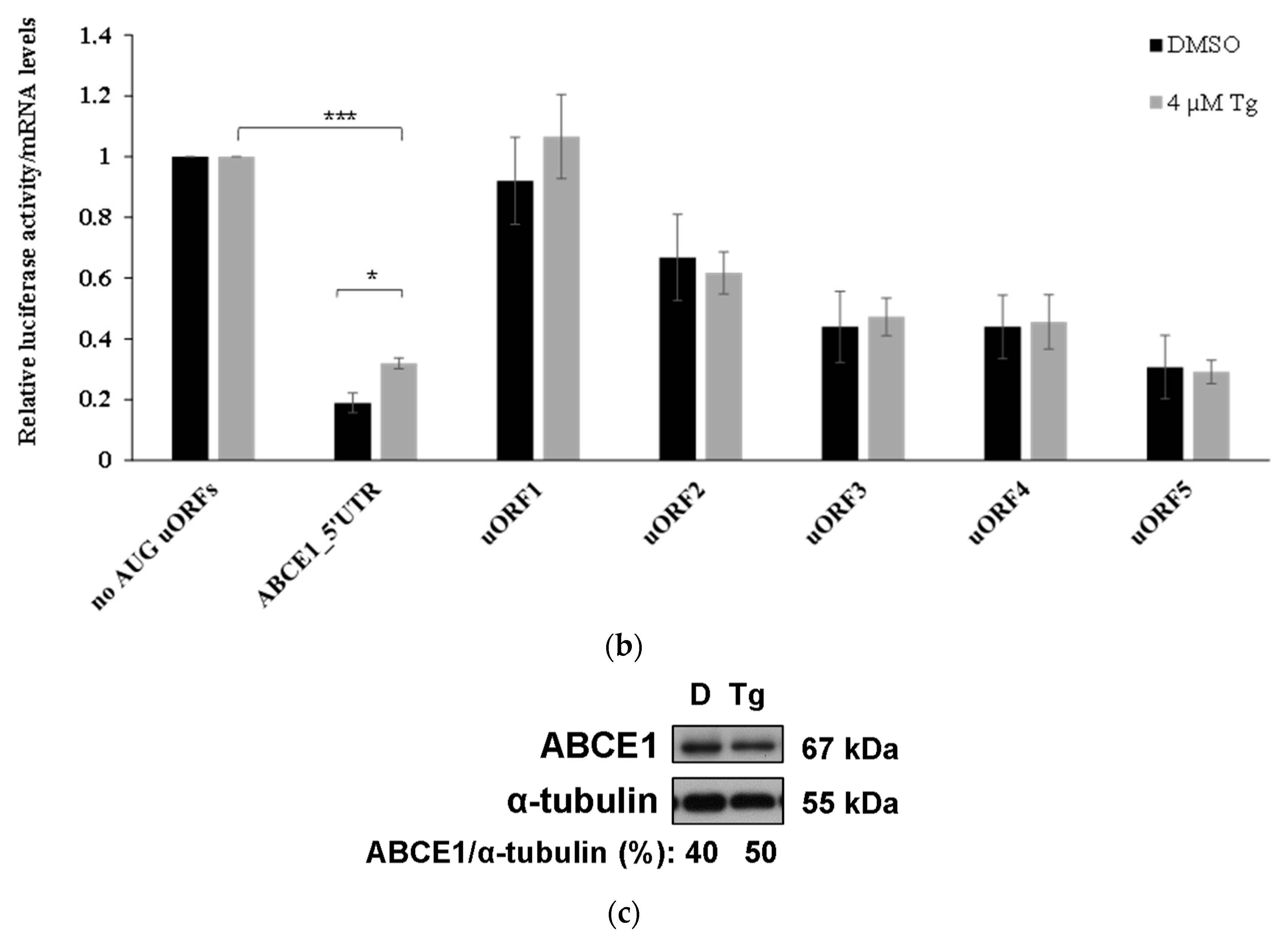 Biomedicines 09 00911 g009b