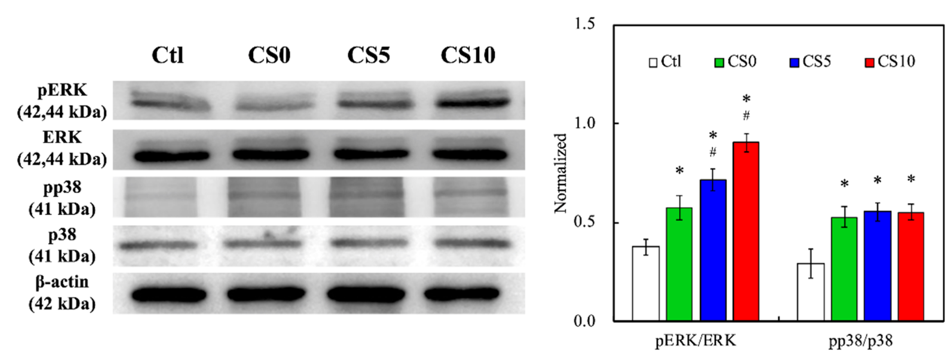 Biomedicines 09 00929 g008