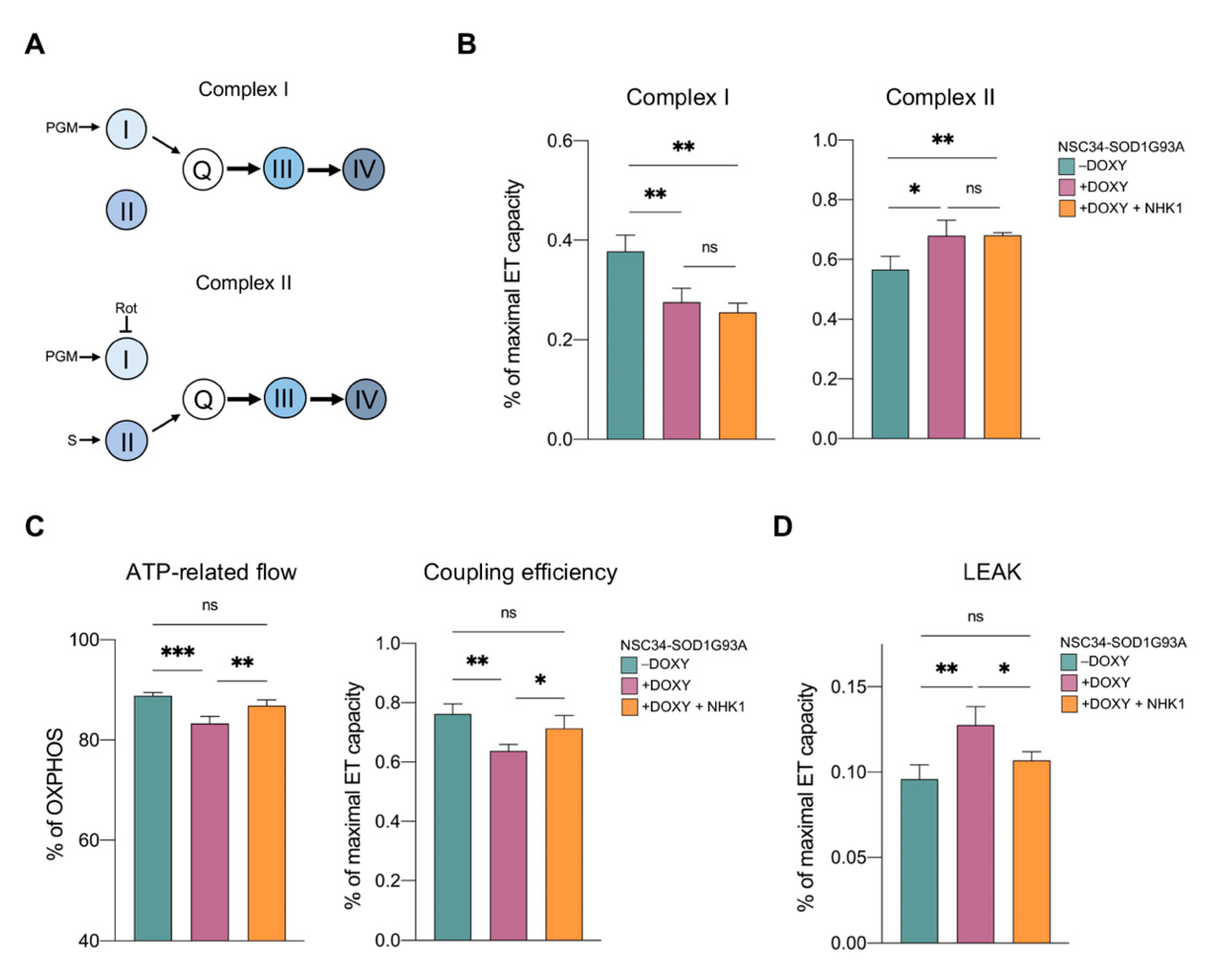 Biomedicines 09 00948 g003