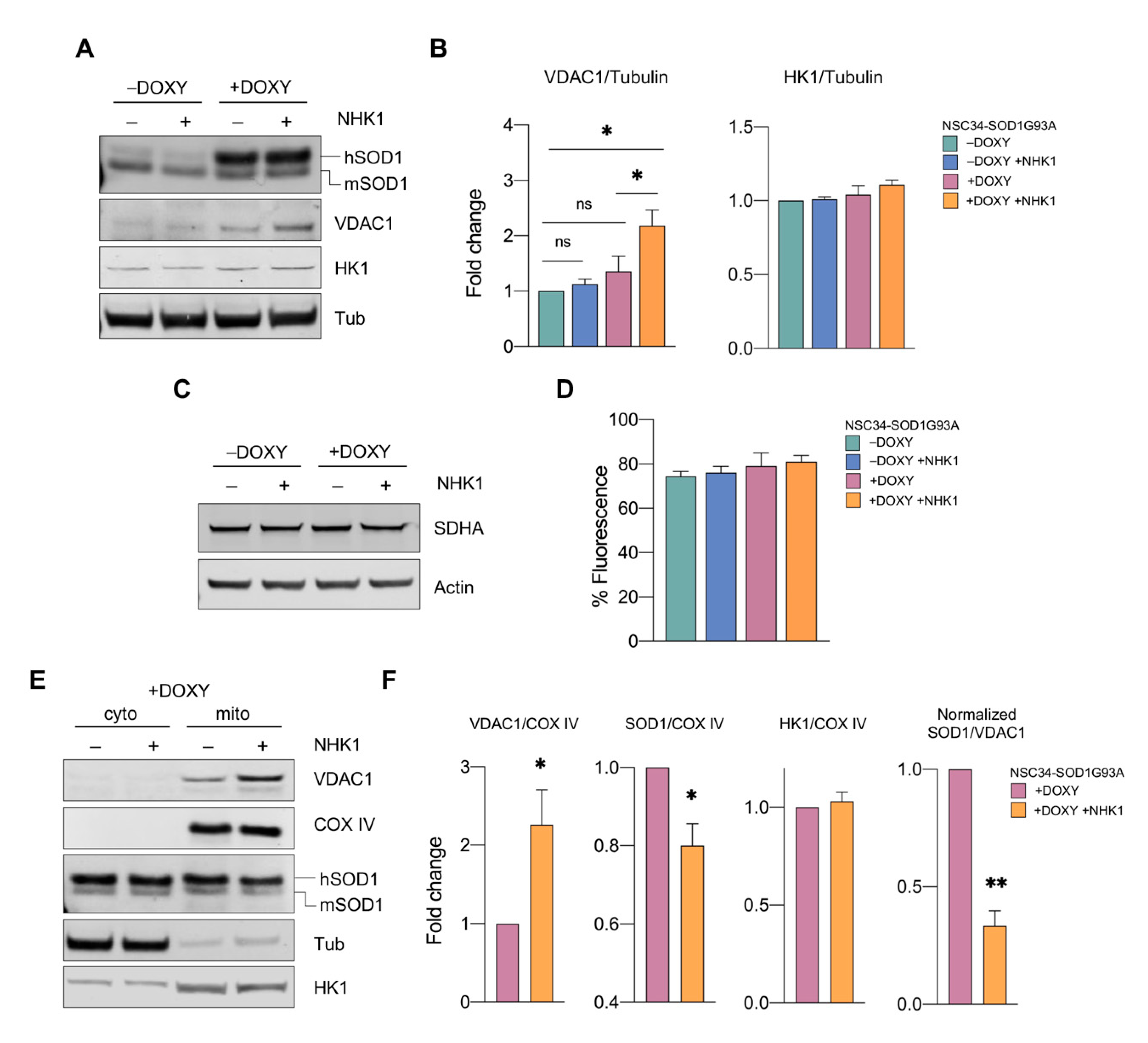 Biomedicines 09 00948 g004