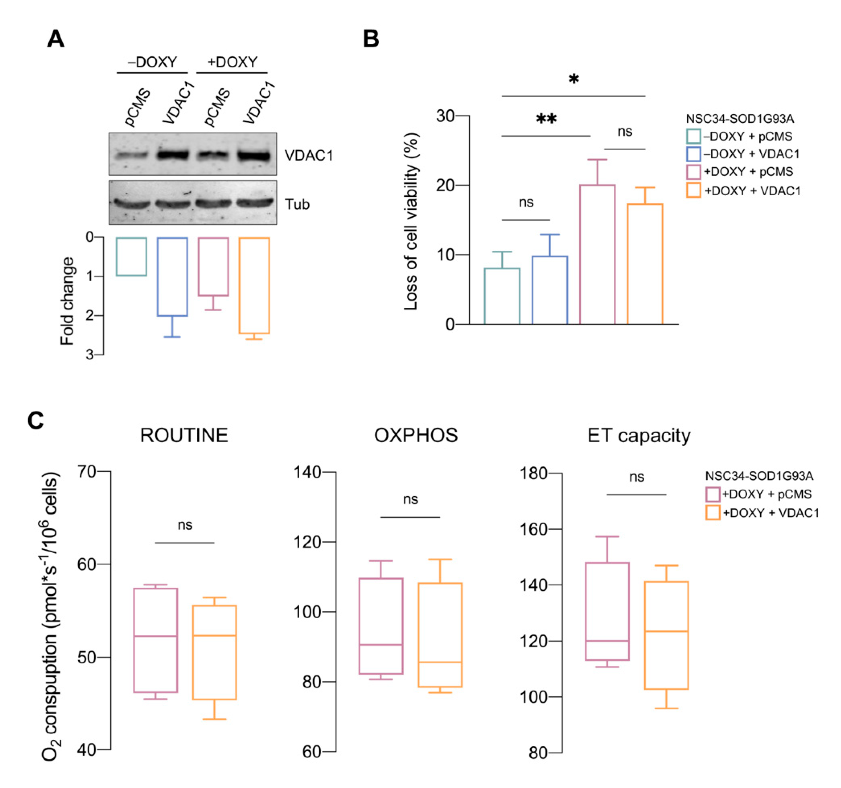 Biomedicines 09 00948 g005