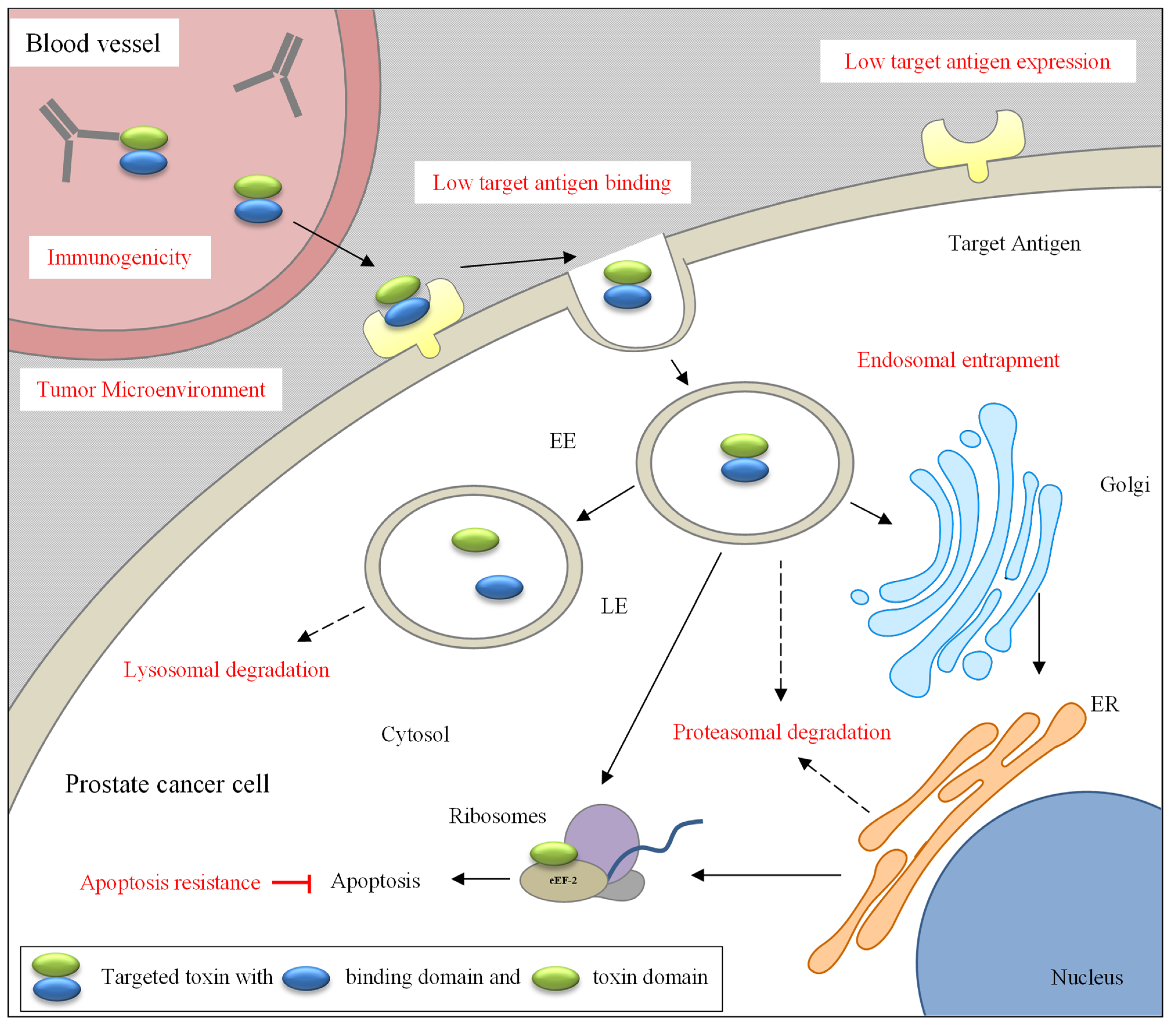 Biomedicines 09 00986 g001 Biomedicines 09 00986 g001