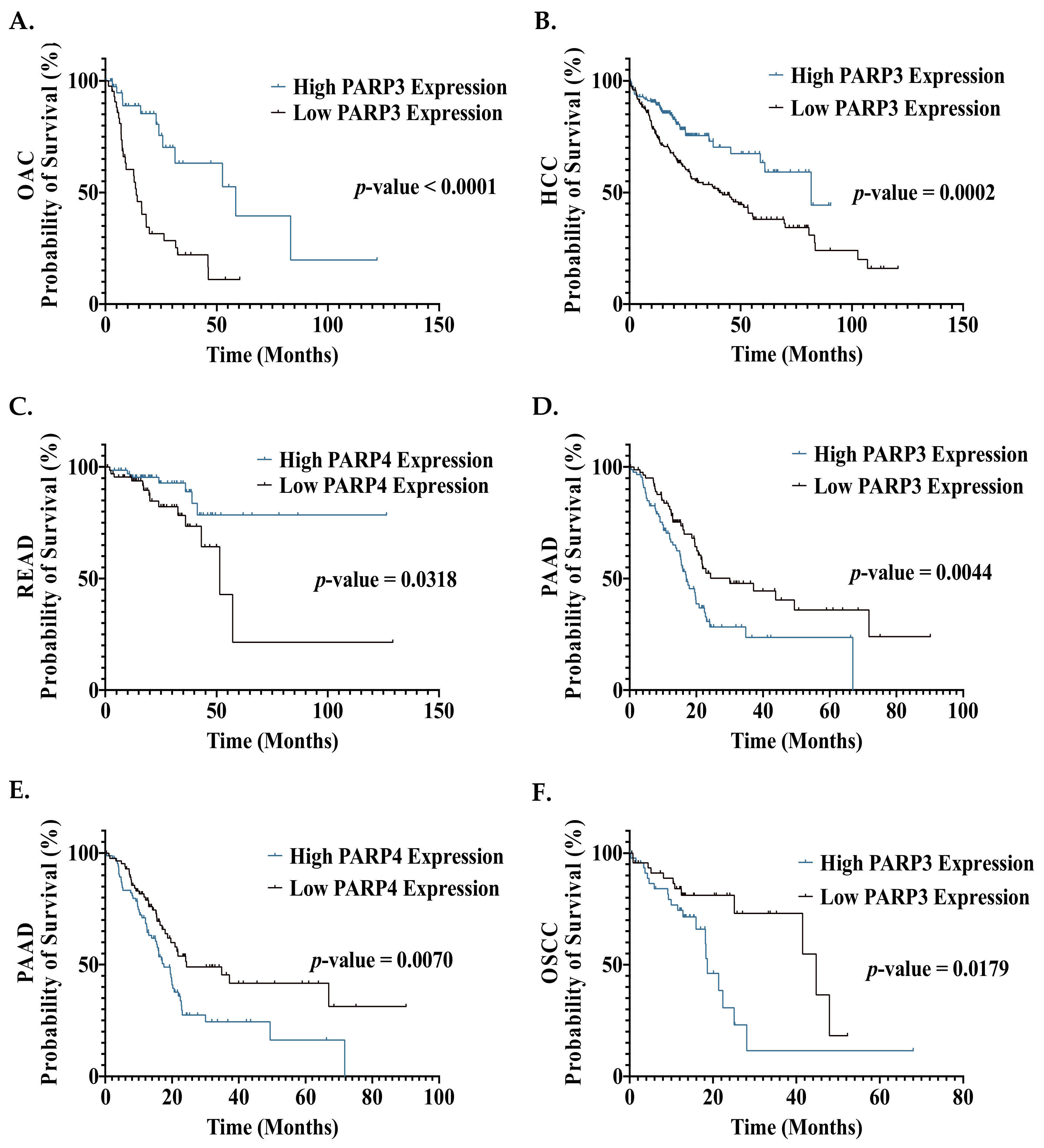 Biomedicines 09 01024 g005 Biomedicines 09 01024 g005