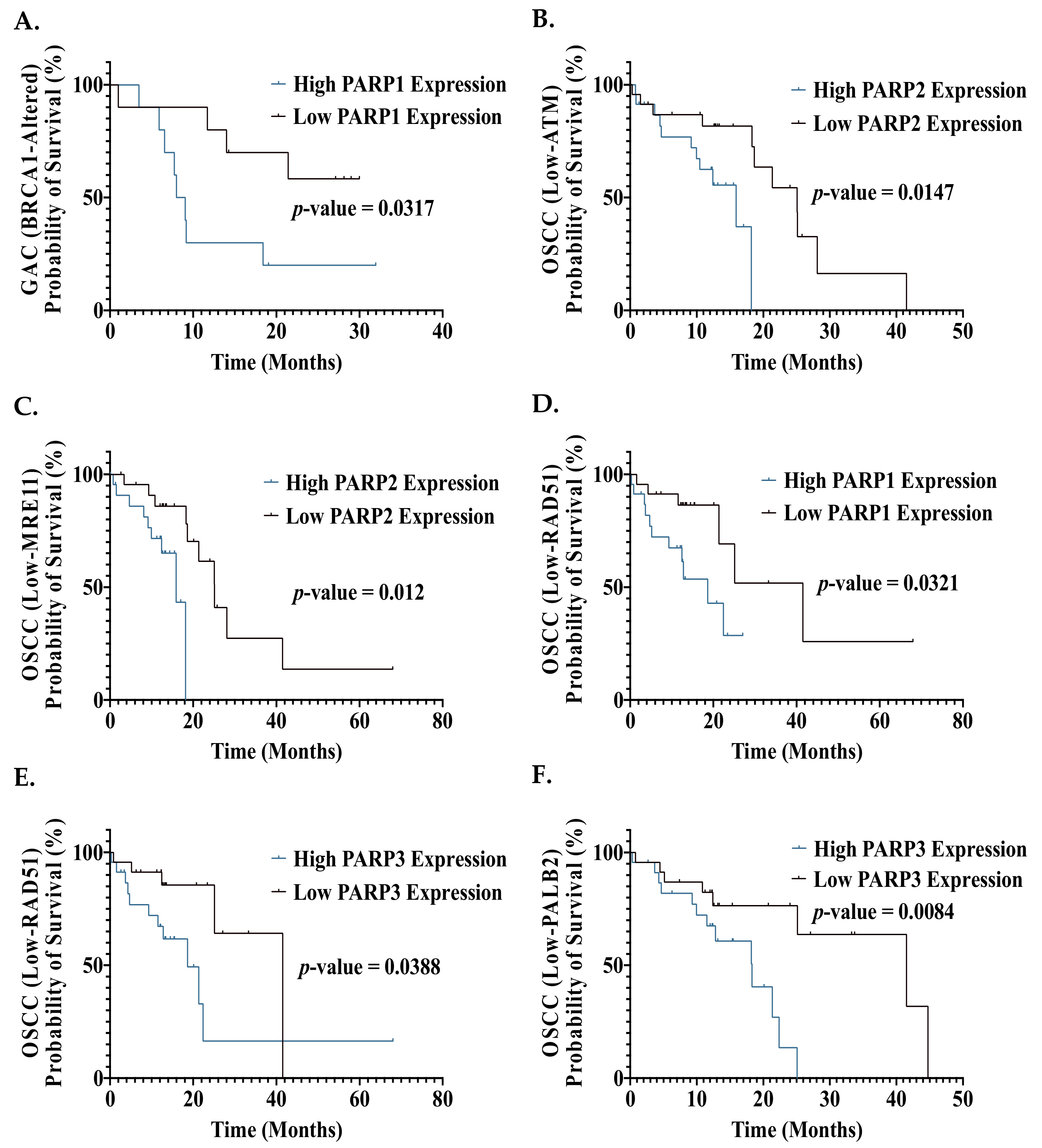 Biomedicines 09 01024 g006 Biomedicines 09 01024 g006