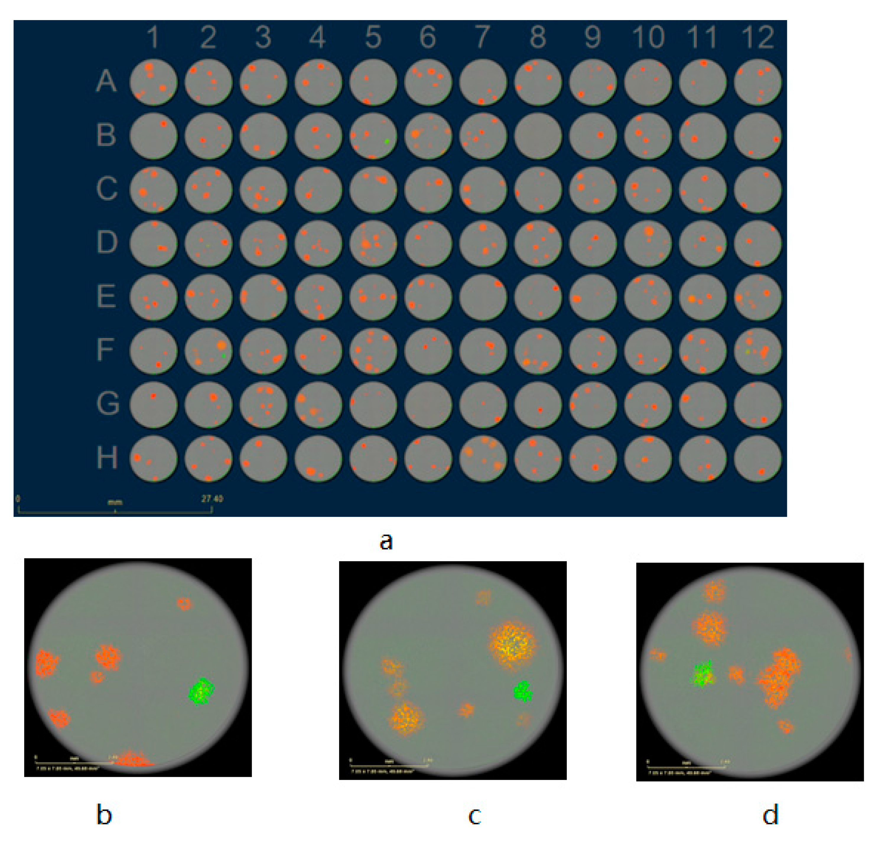 Biomedicines 09 01032 g003