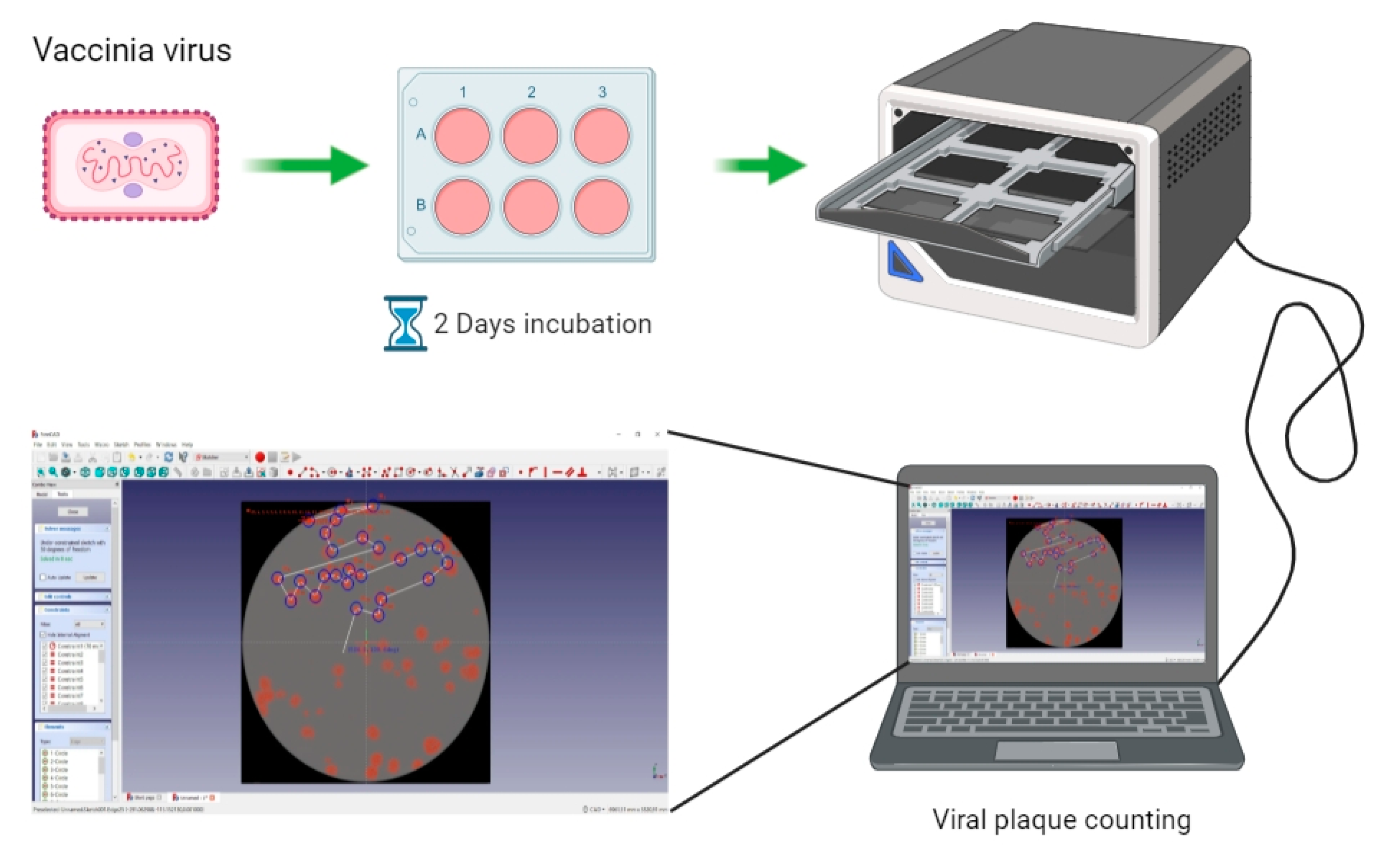 Biomedicines 09 01032 g005