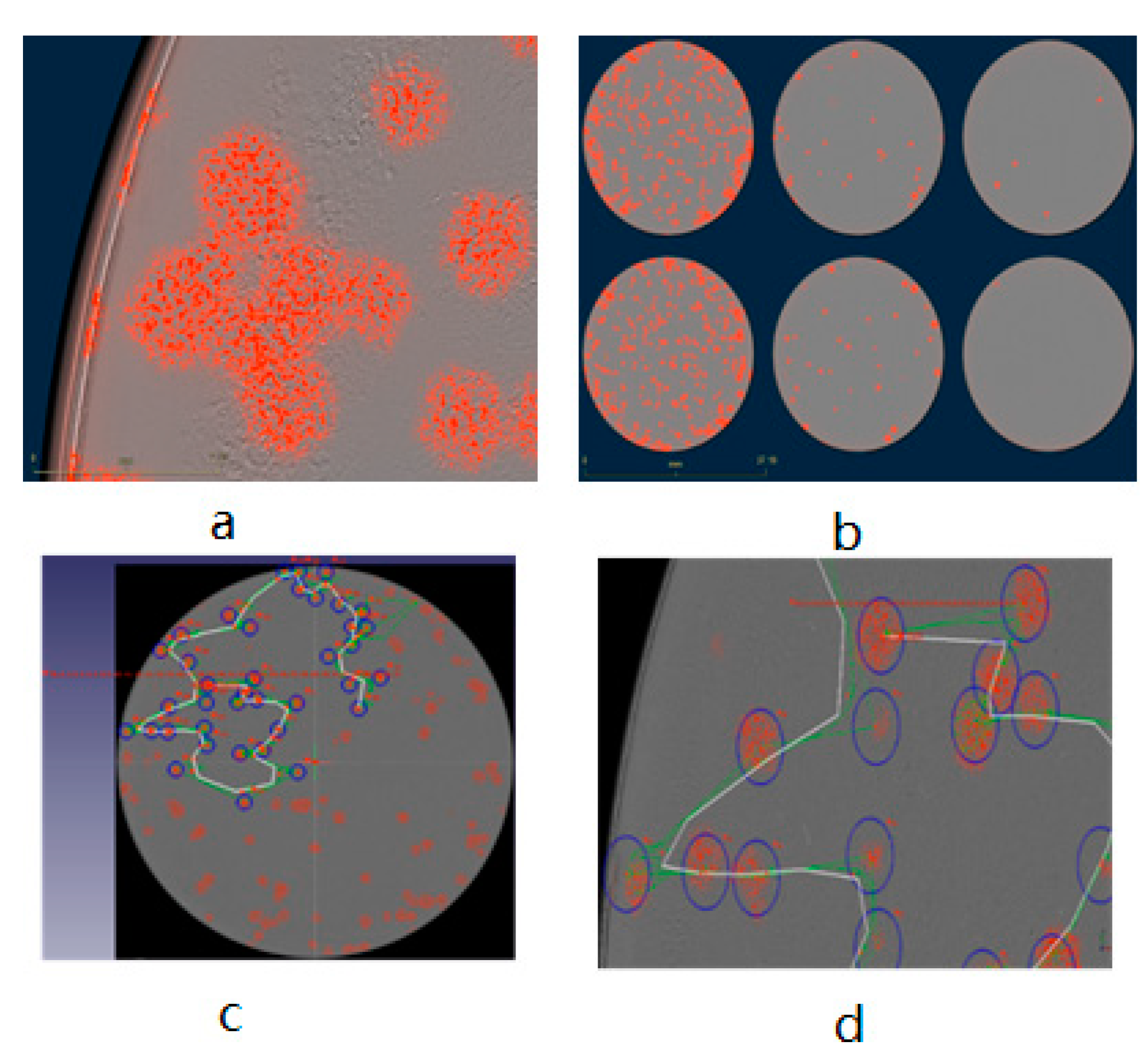 Biomedicines 09 01032 g006
