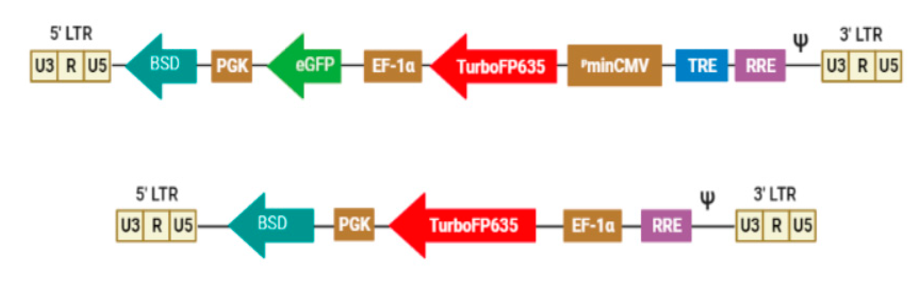 Biomedicines 09 01032 g0a1