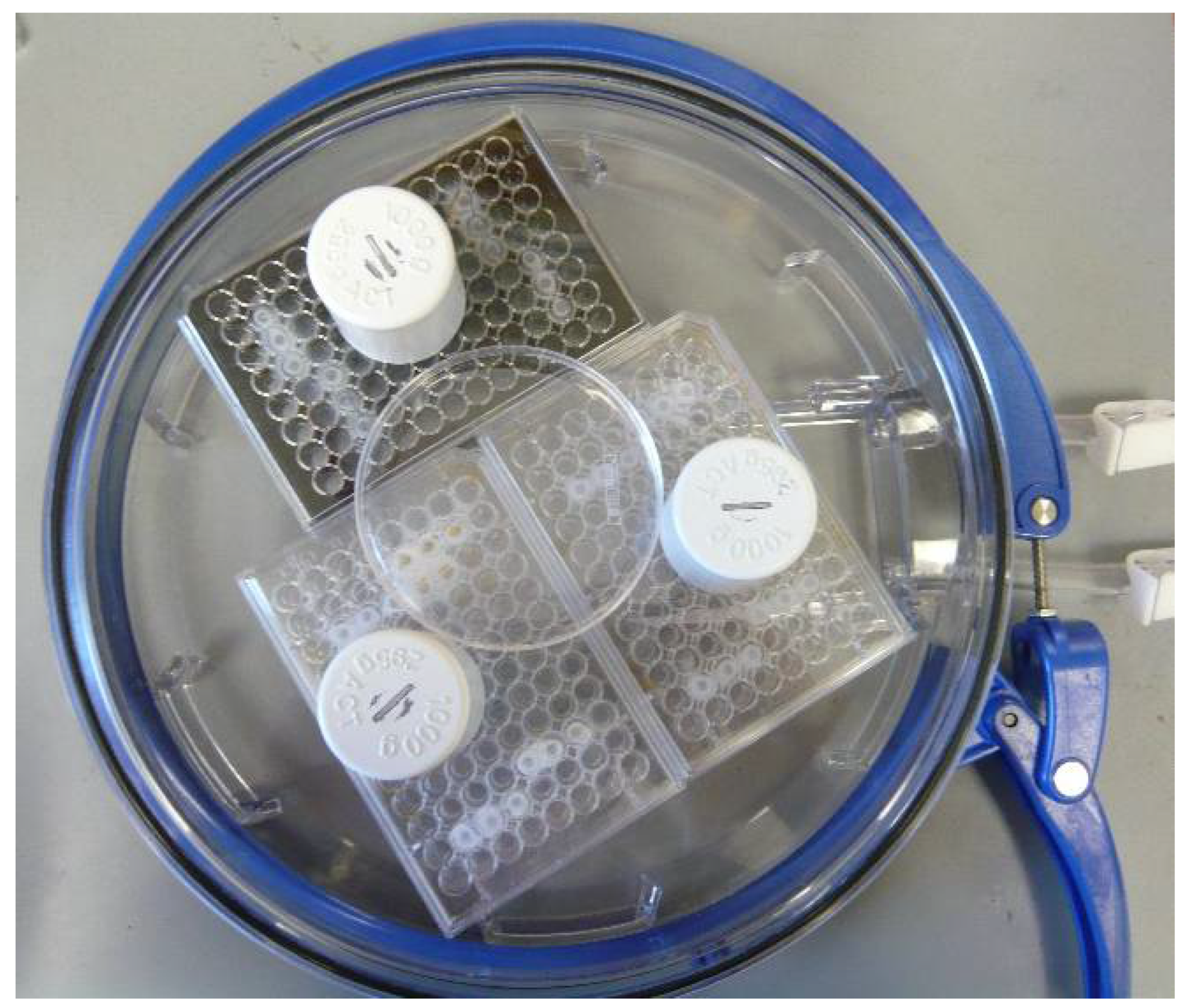 Biomedicines 09 01043 g002 Biomedicines 09 01043 g002