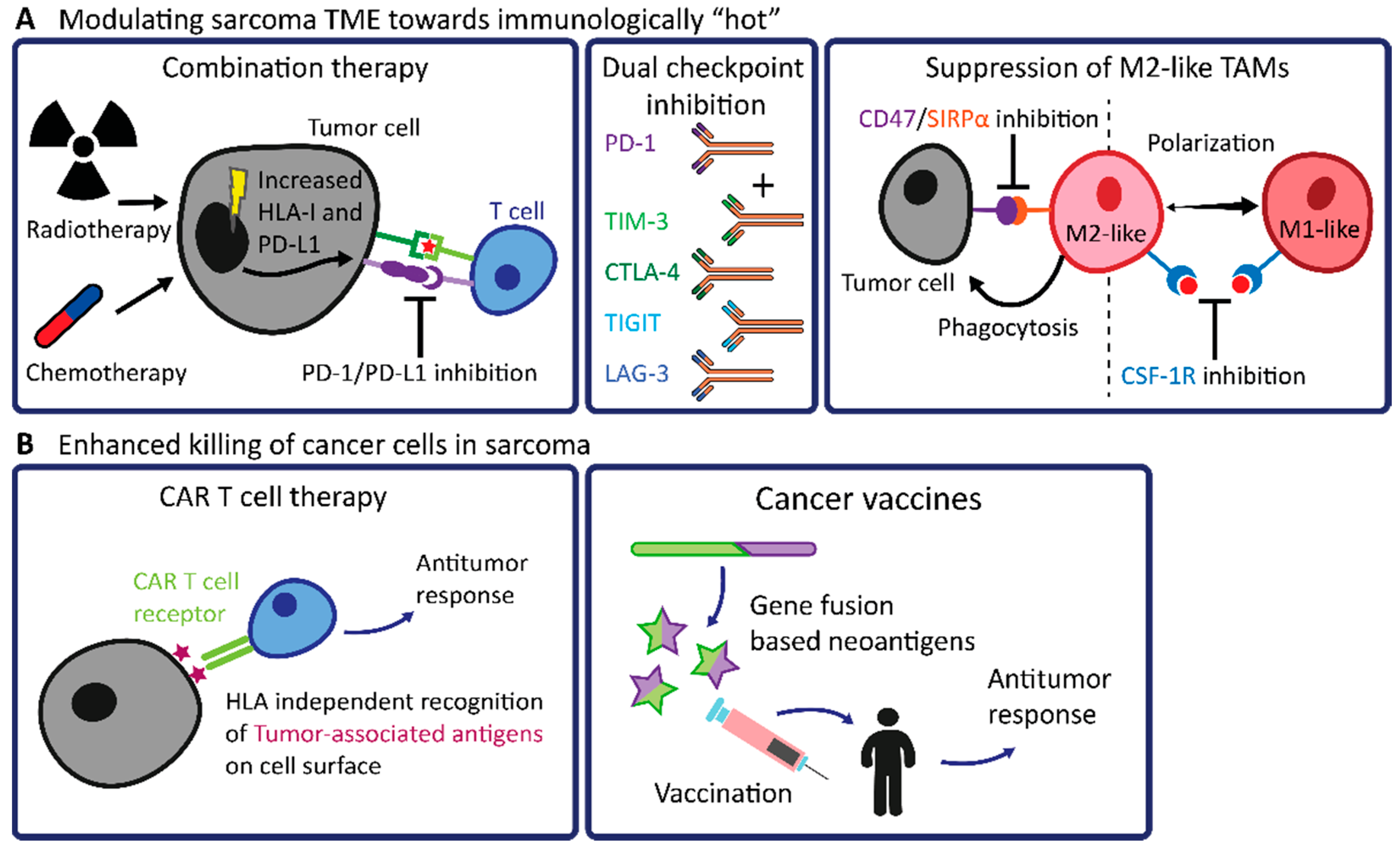 Biomedicines 09 01048 g002