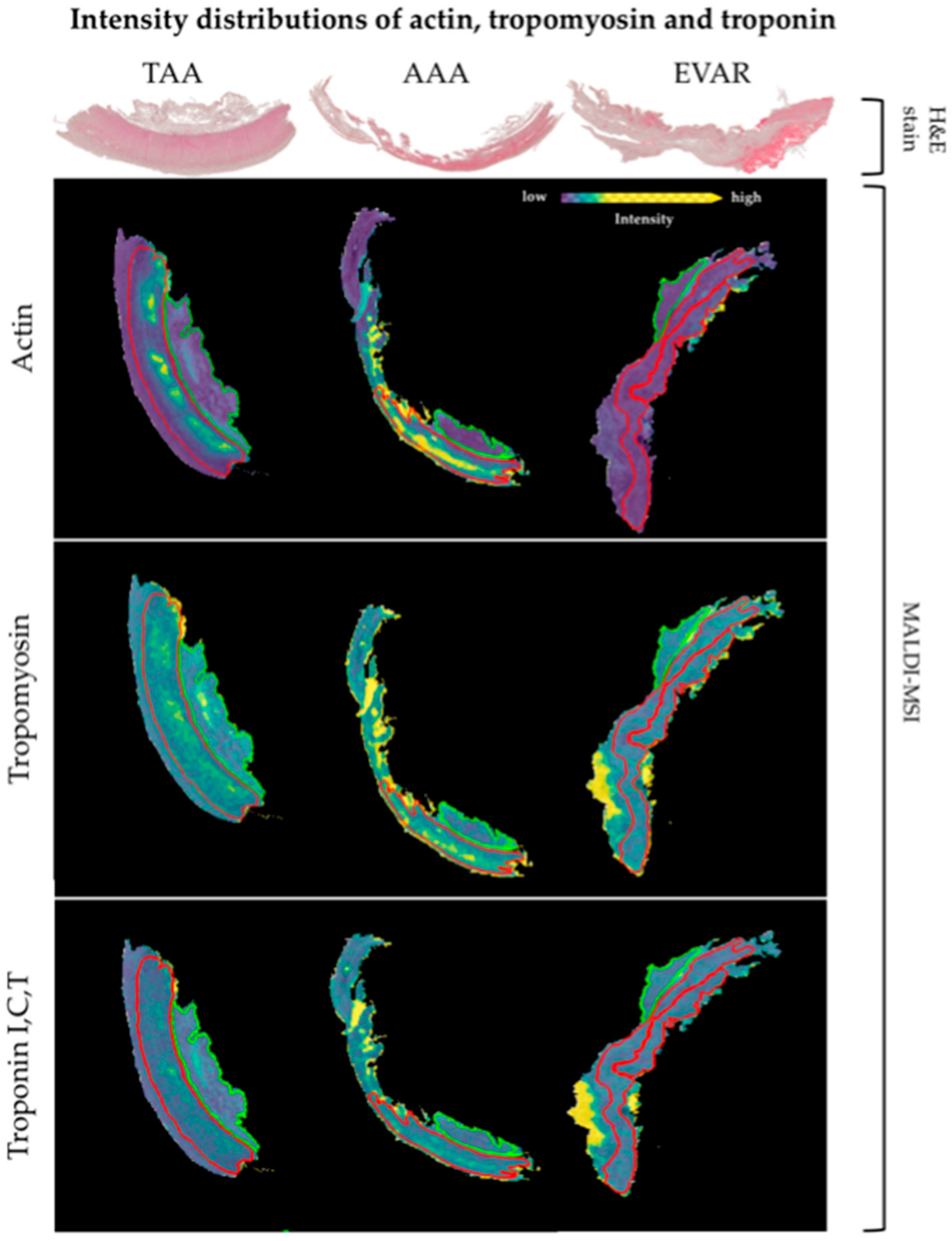 Biomedicines 09 01088 g003
