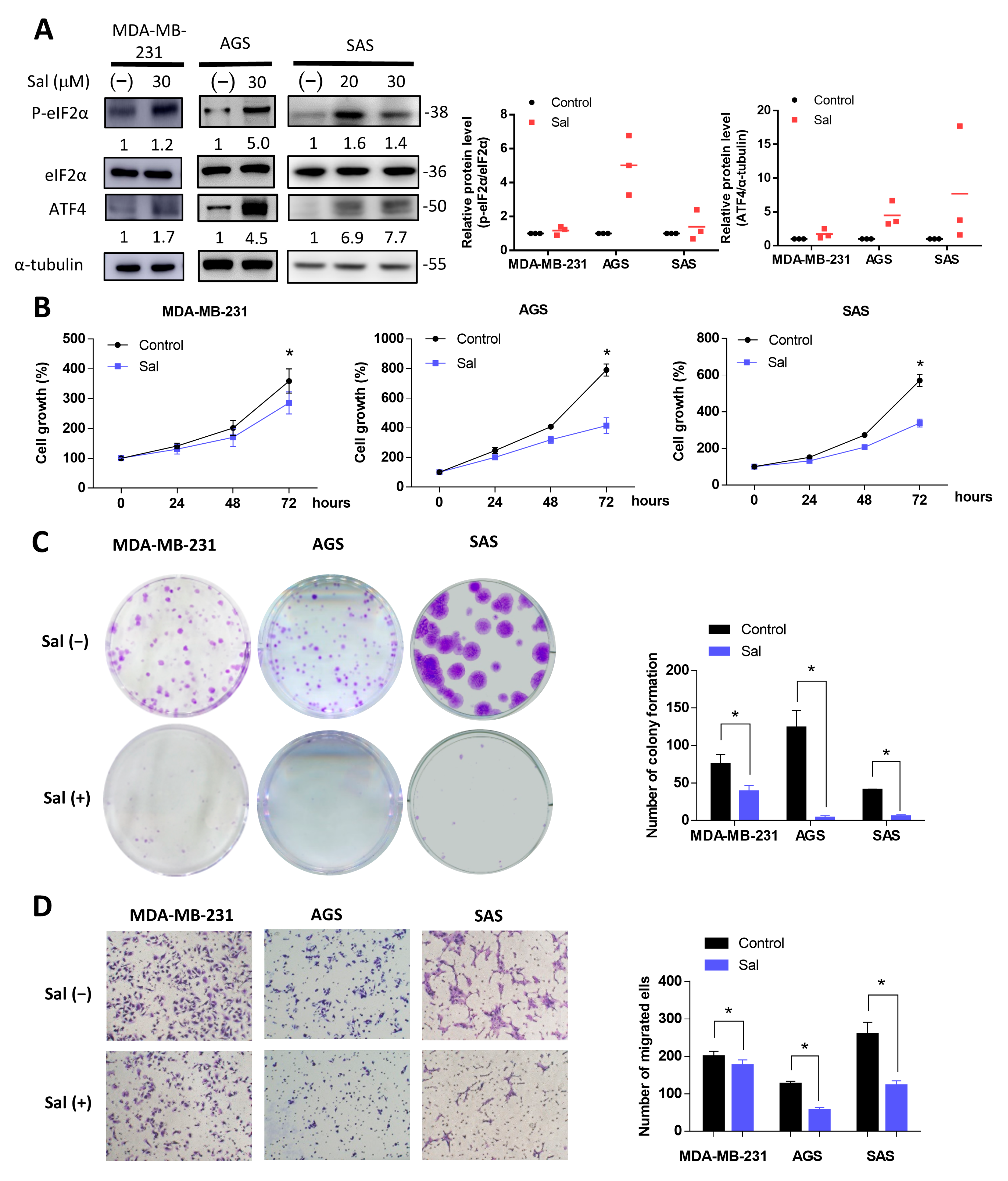 Biomedicines | Free Full-Text | Salubrinal Enhances Cancer Cell 