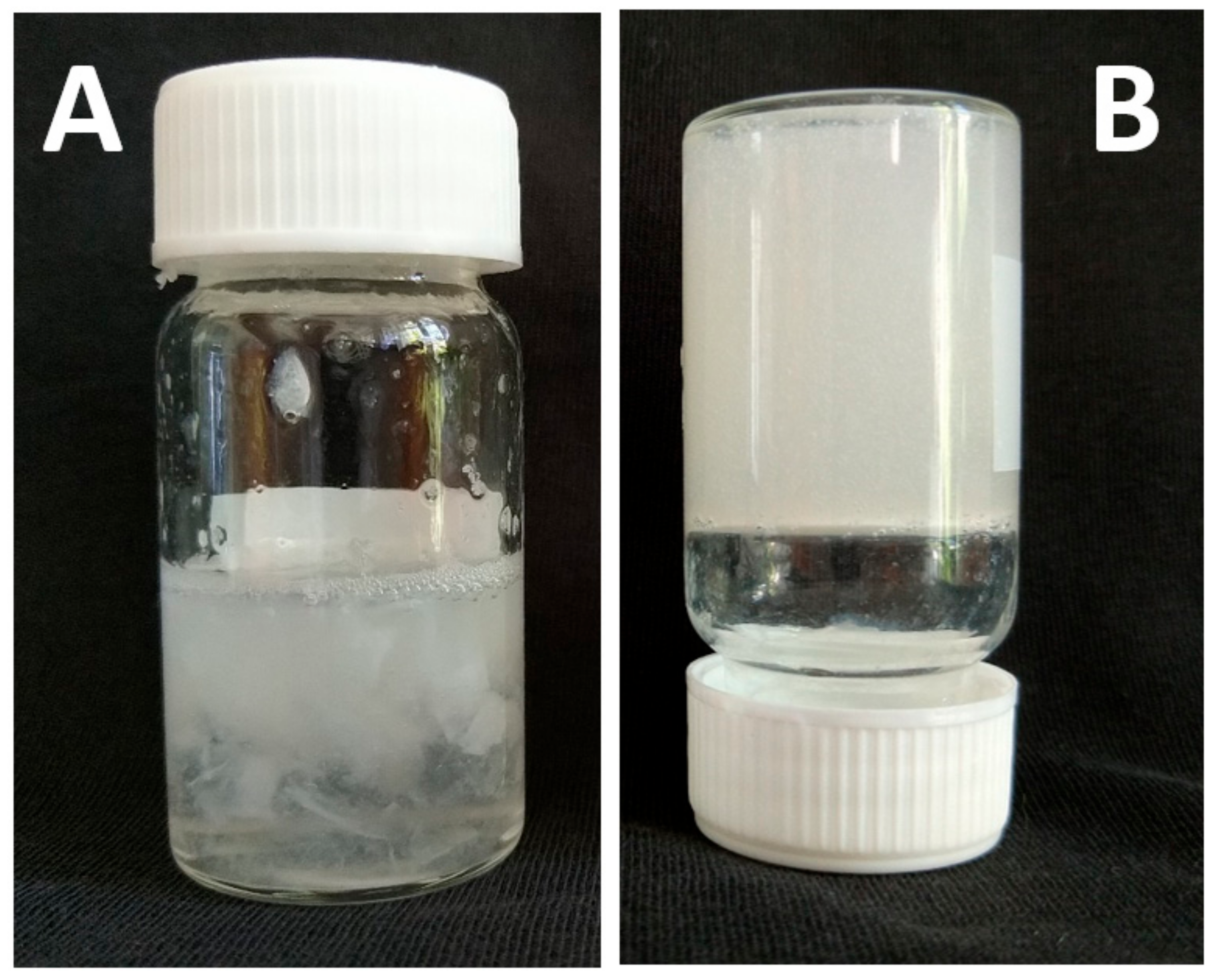 Biomedicines 09 01137 g004