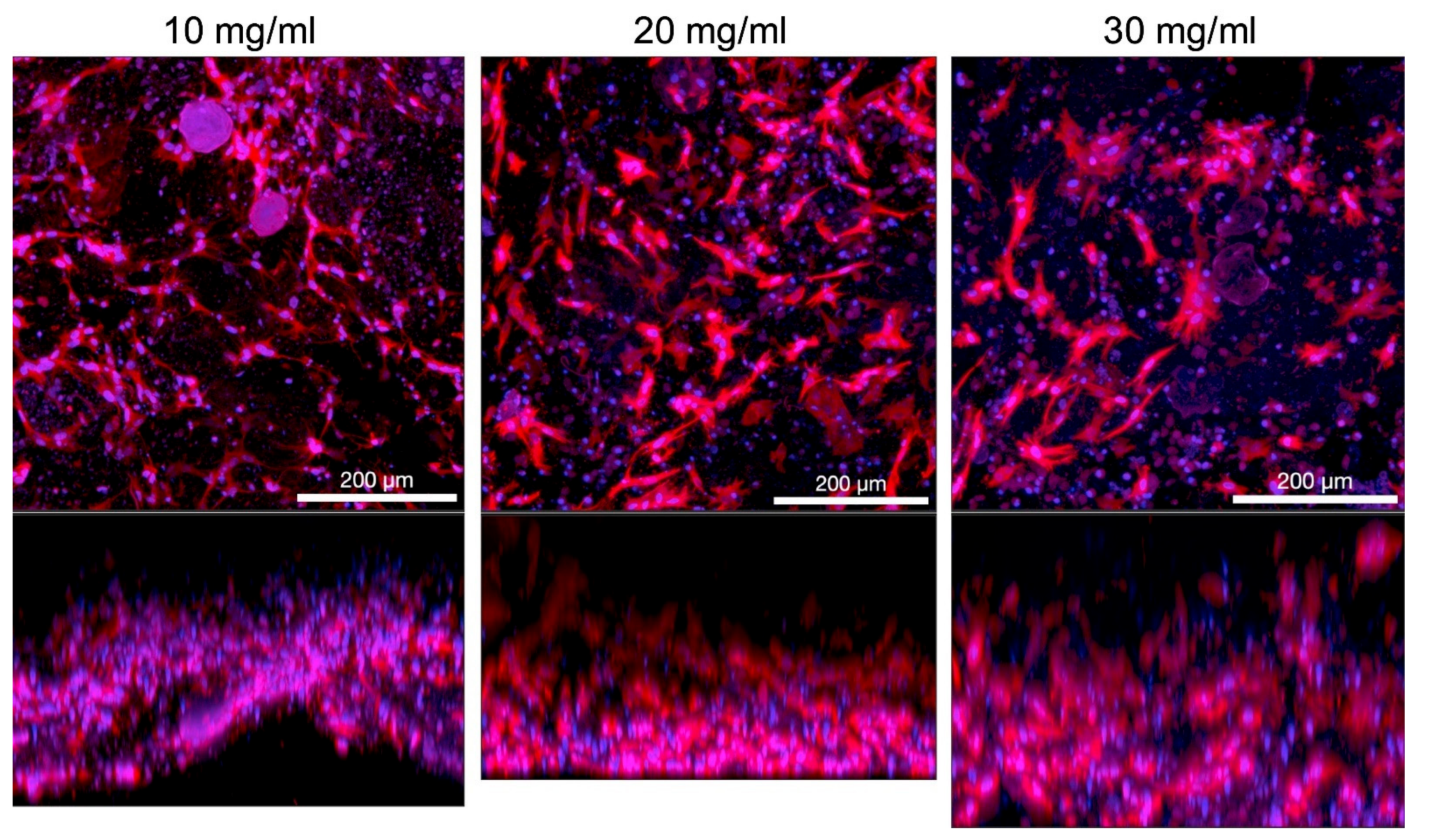 Biomedicines 09 01137 g006