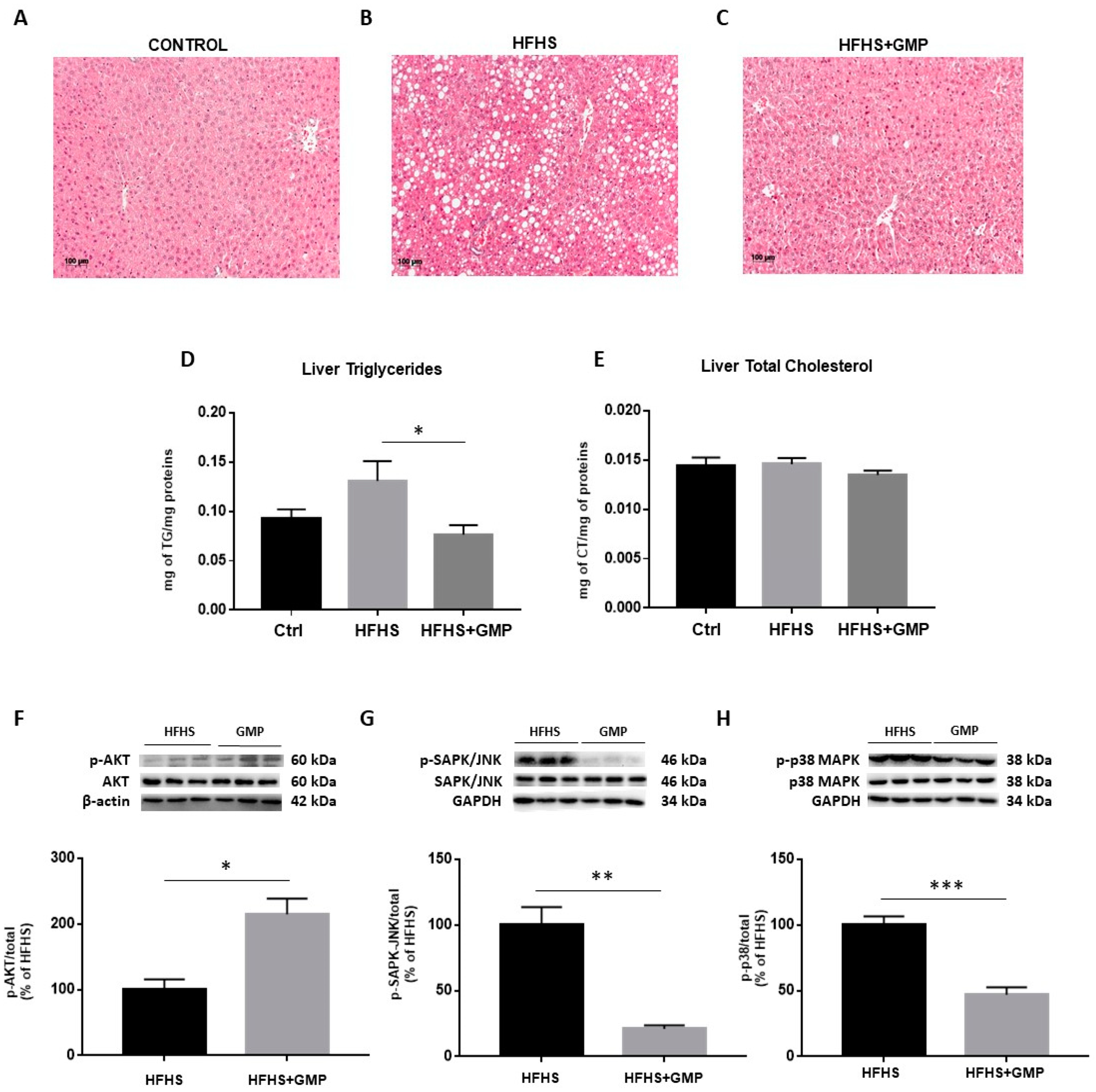Biomedicines 09 01140 g004 Biomedicines 09 01140 g004