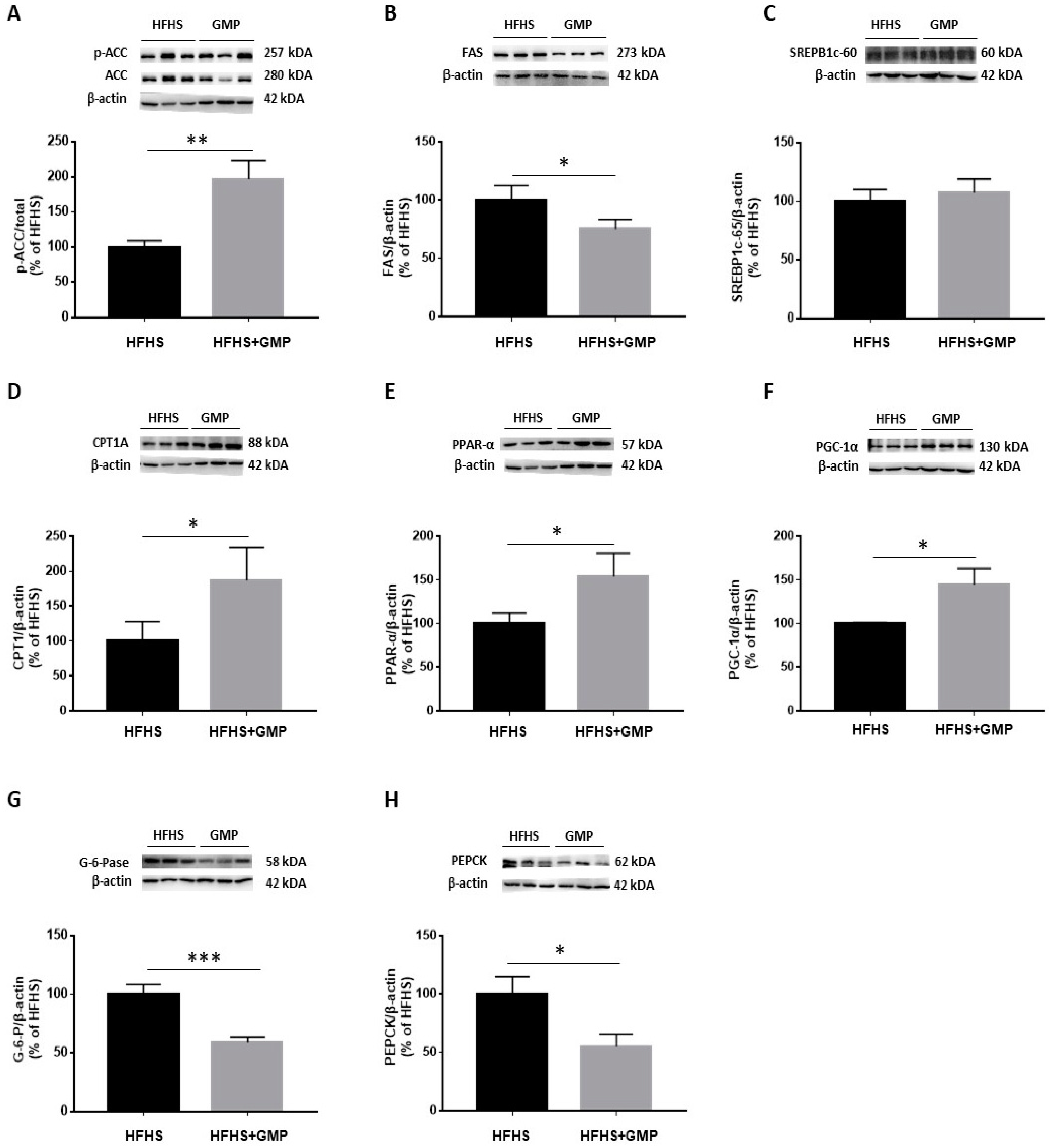 Biomedicines 09 01140 g005 Biomedicines 09 01140 g005