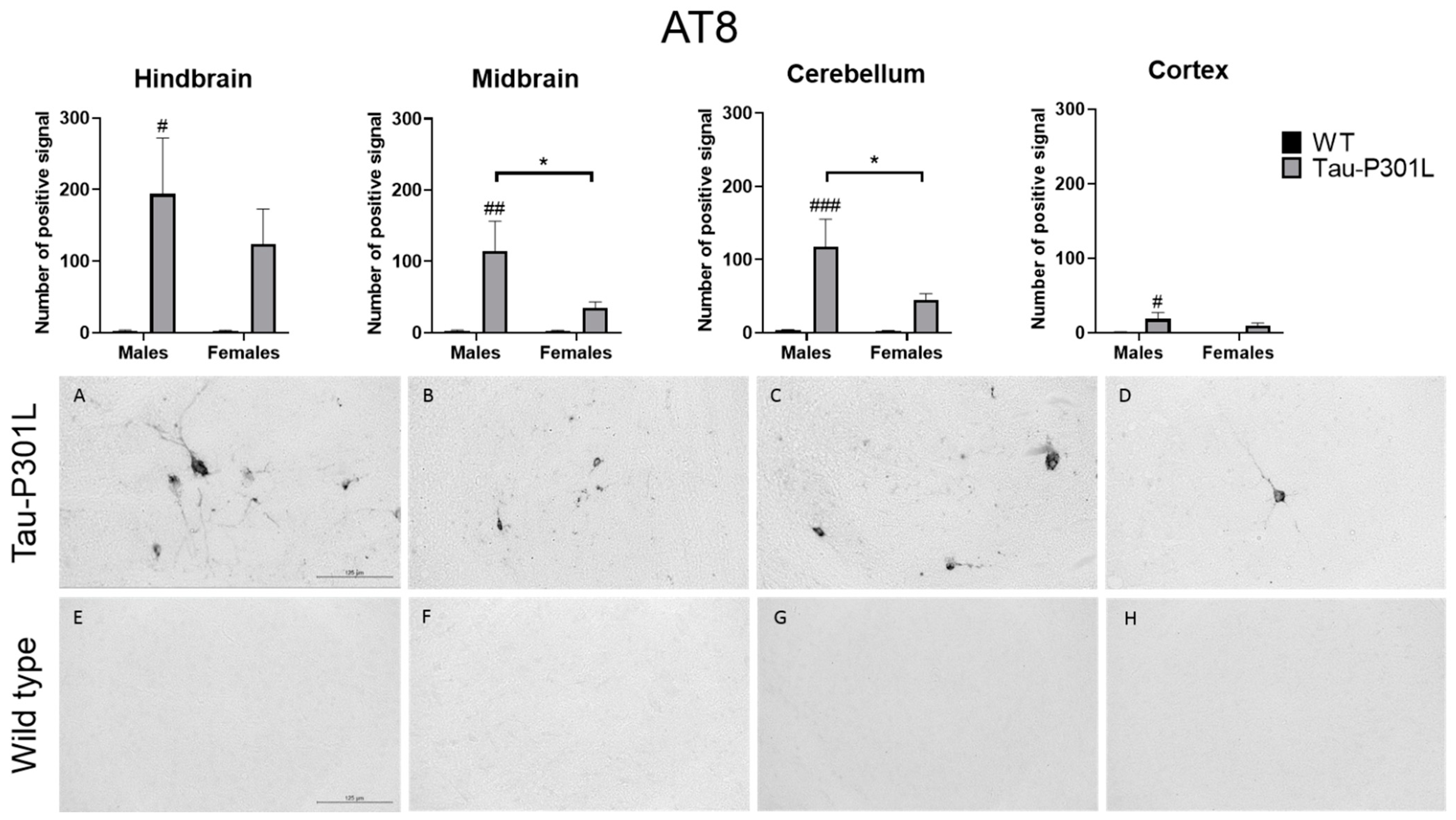 Biomedicines 09 01160 g007 Biomedicines 09 01160 g007