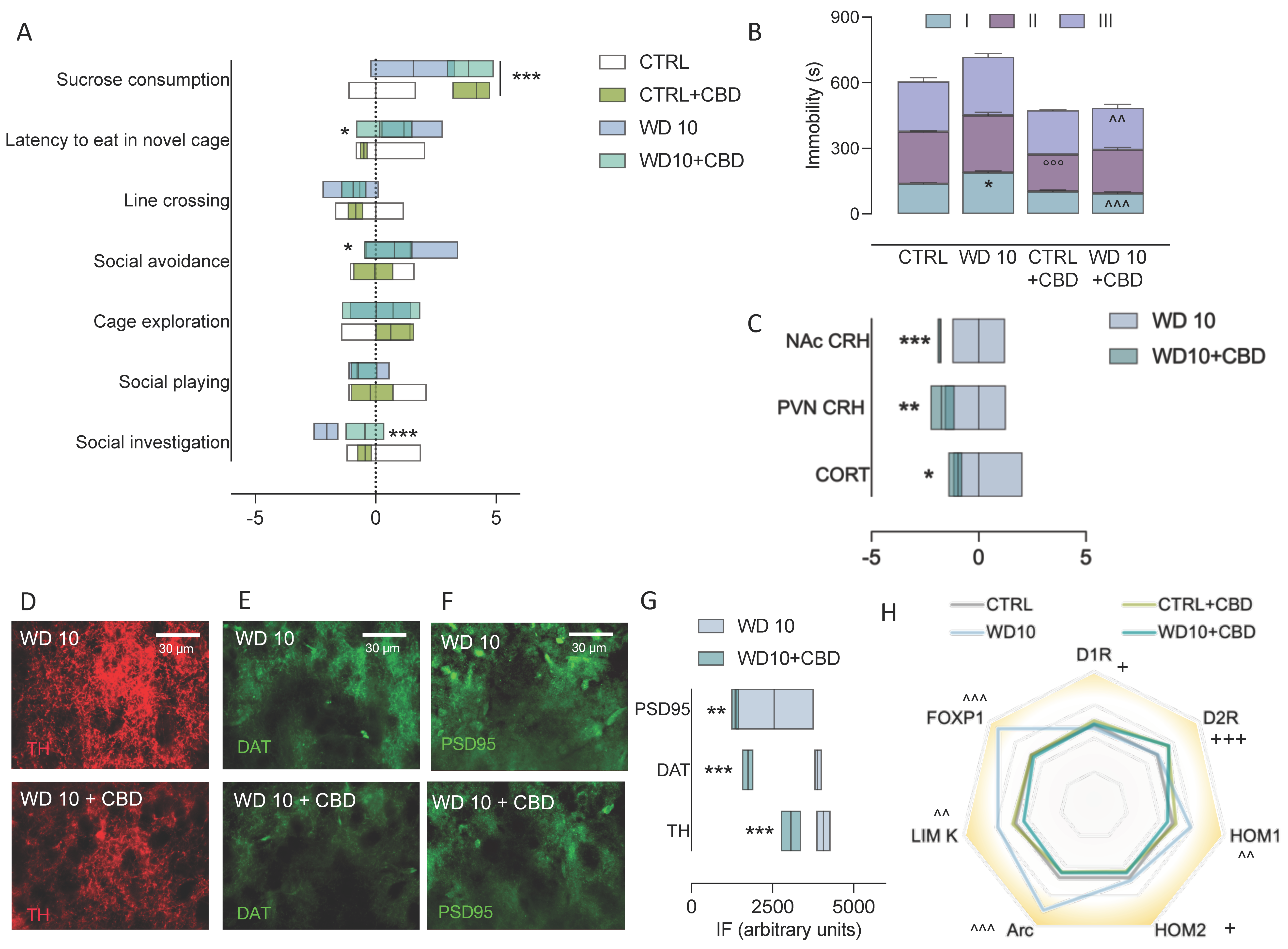 Biomedicines 09 01161 g006